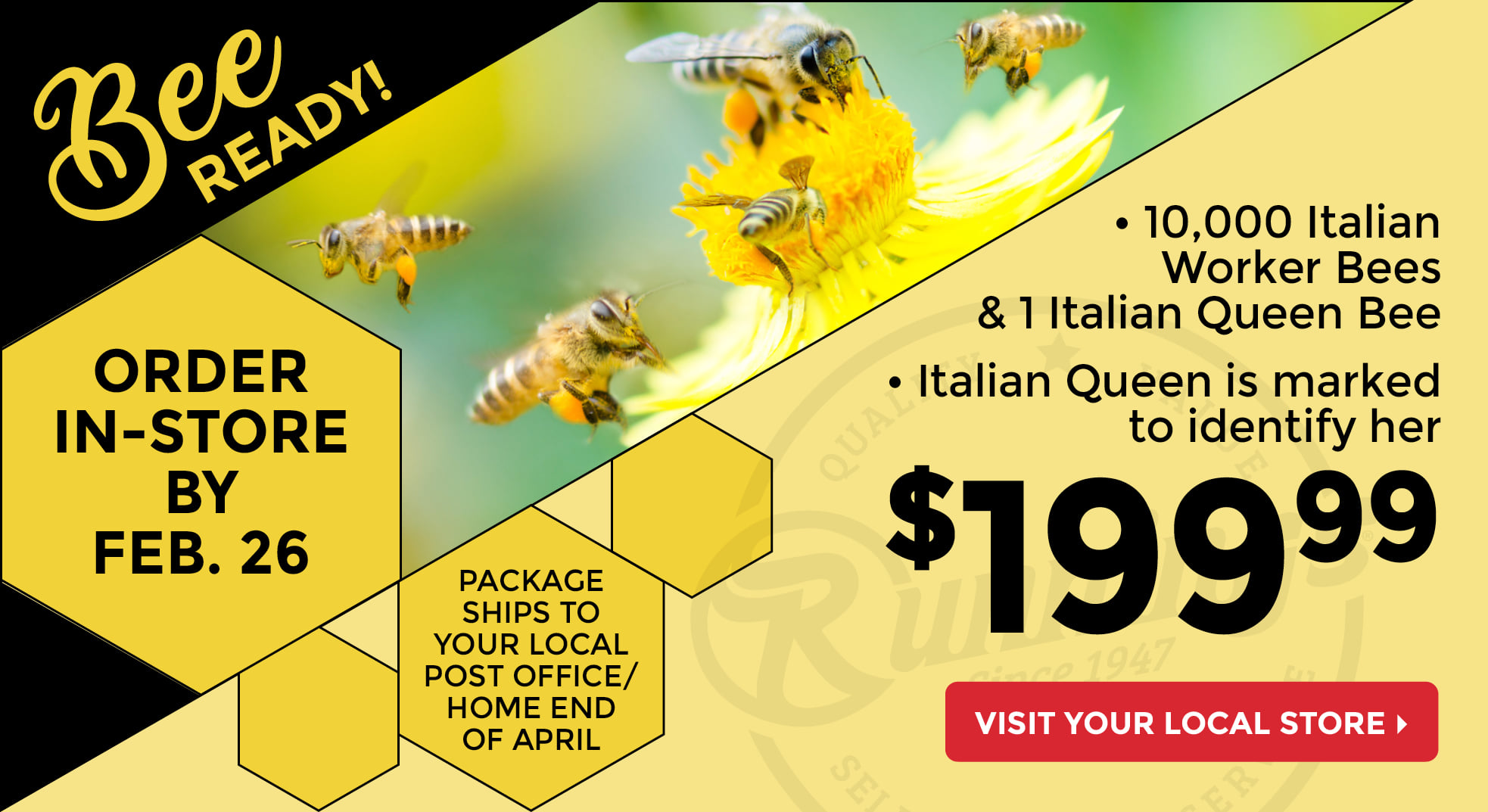 Runnings Stores - 🐝 Ordering Live Bees is as easy as... | Facebook