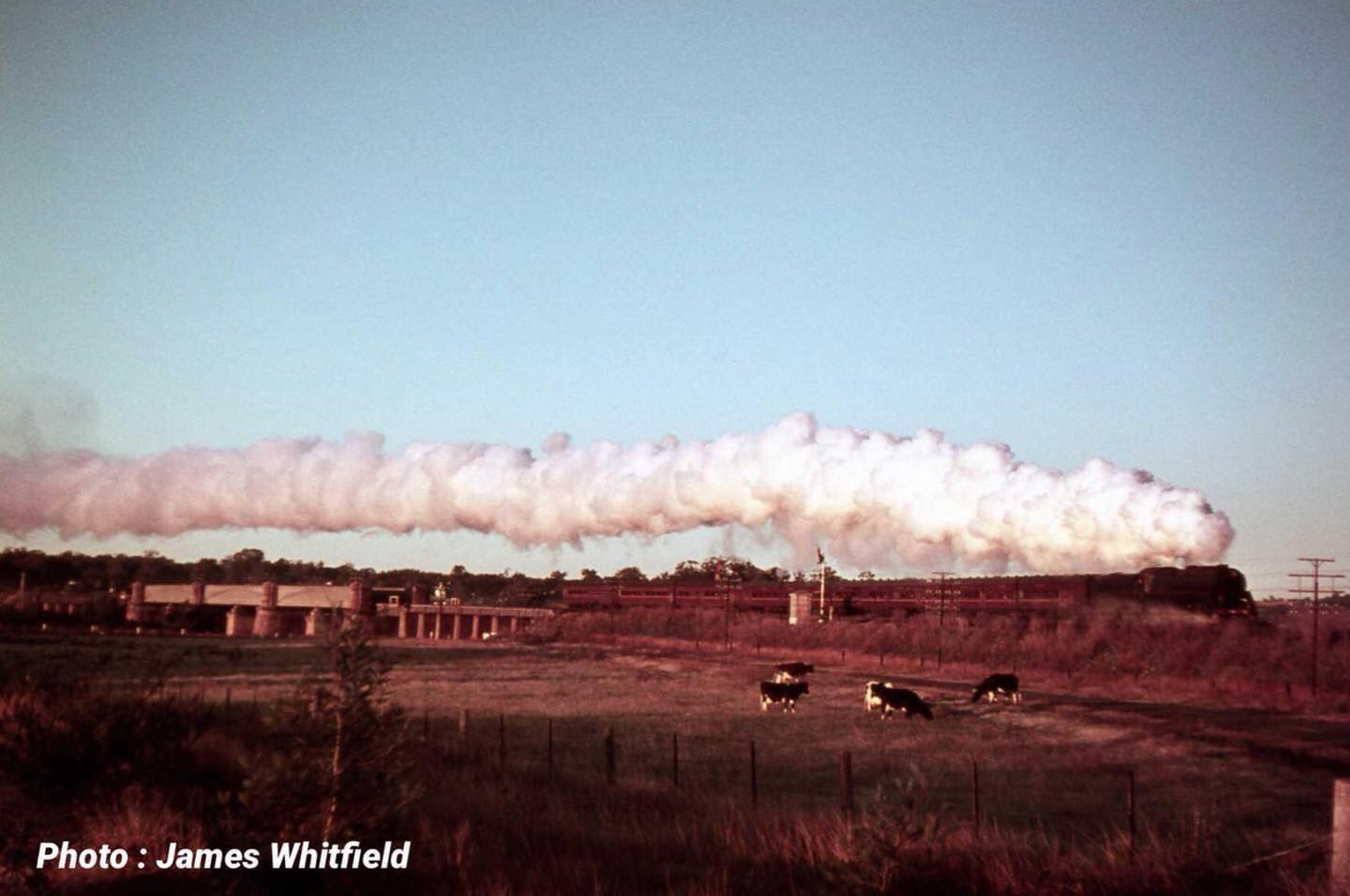I Grew Up in Mortdale 2223 - MENANGLE PARK - 1969 🚂 On an early winter ...