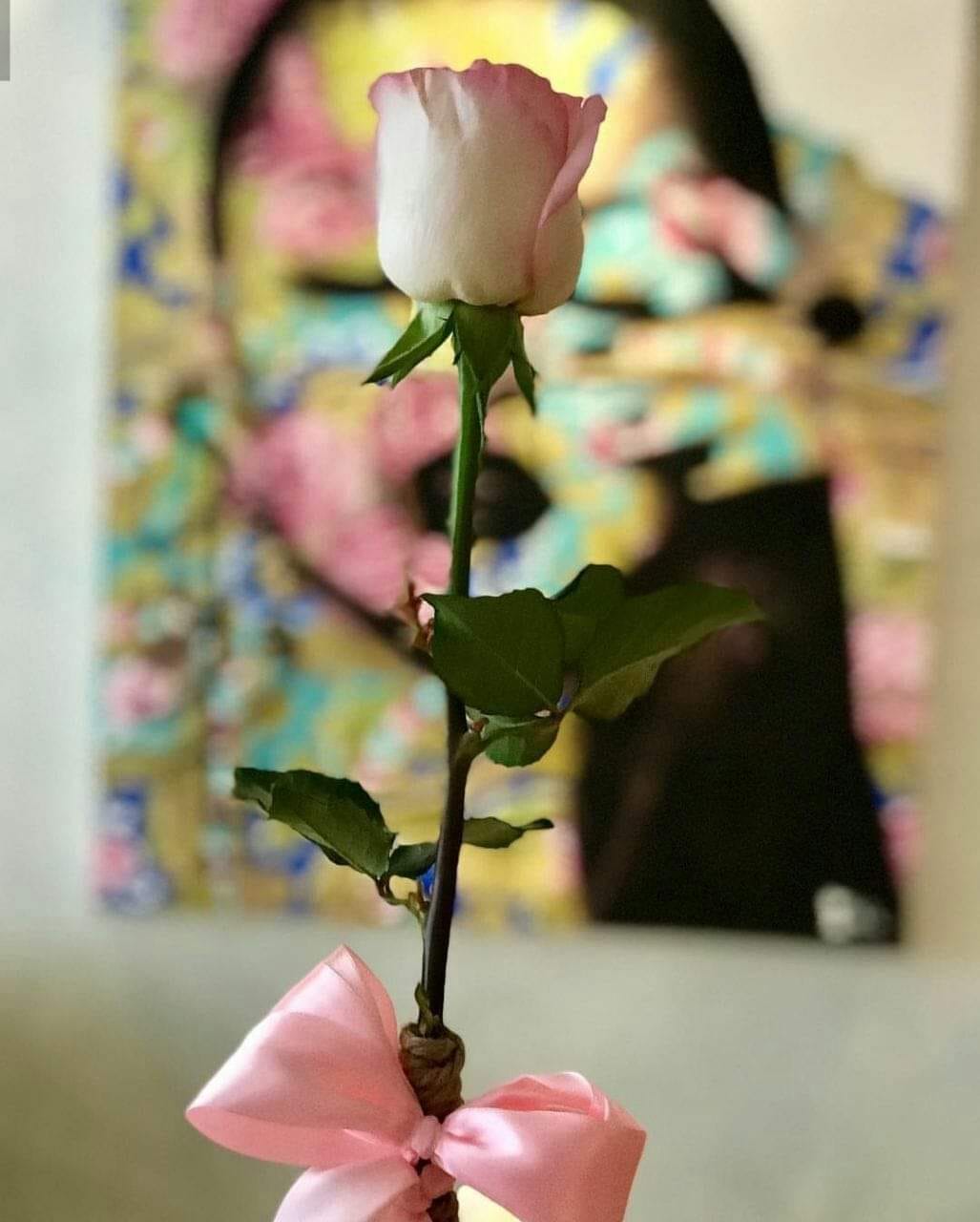 هم نور دل منی و هم راحت جان هم... - پَــــــــــــــــــر