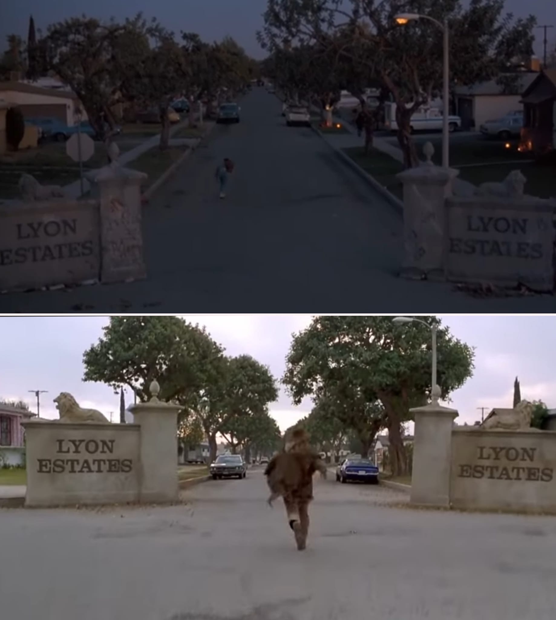 Lyon Estates in Back to the Future