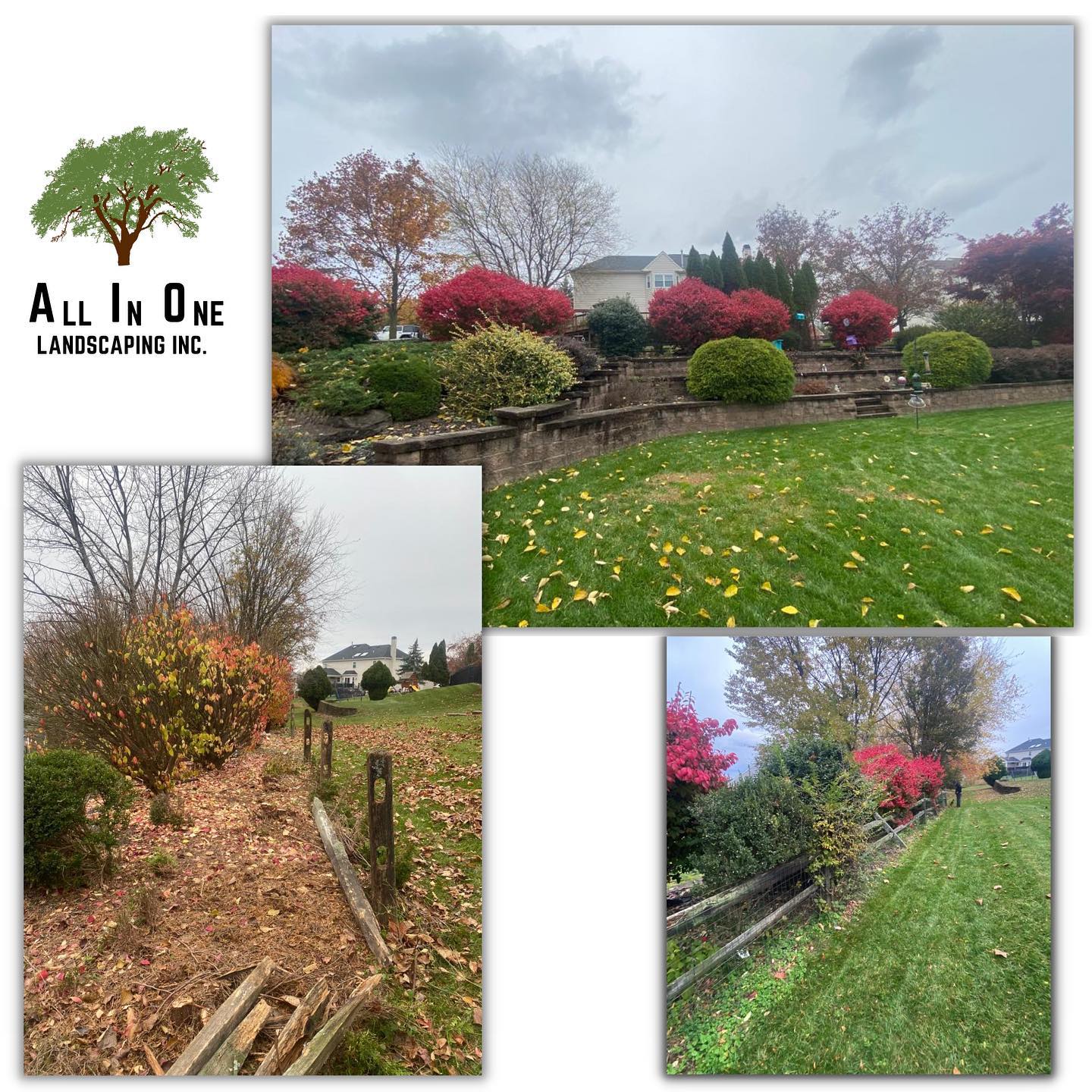 Take A Look About All In One Landscaping