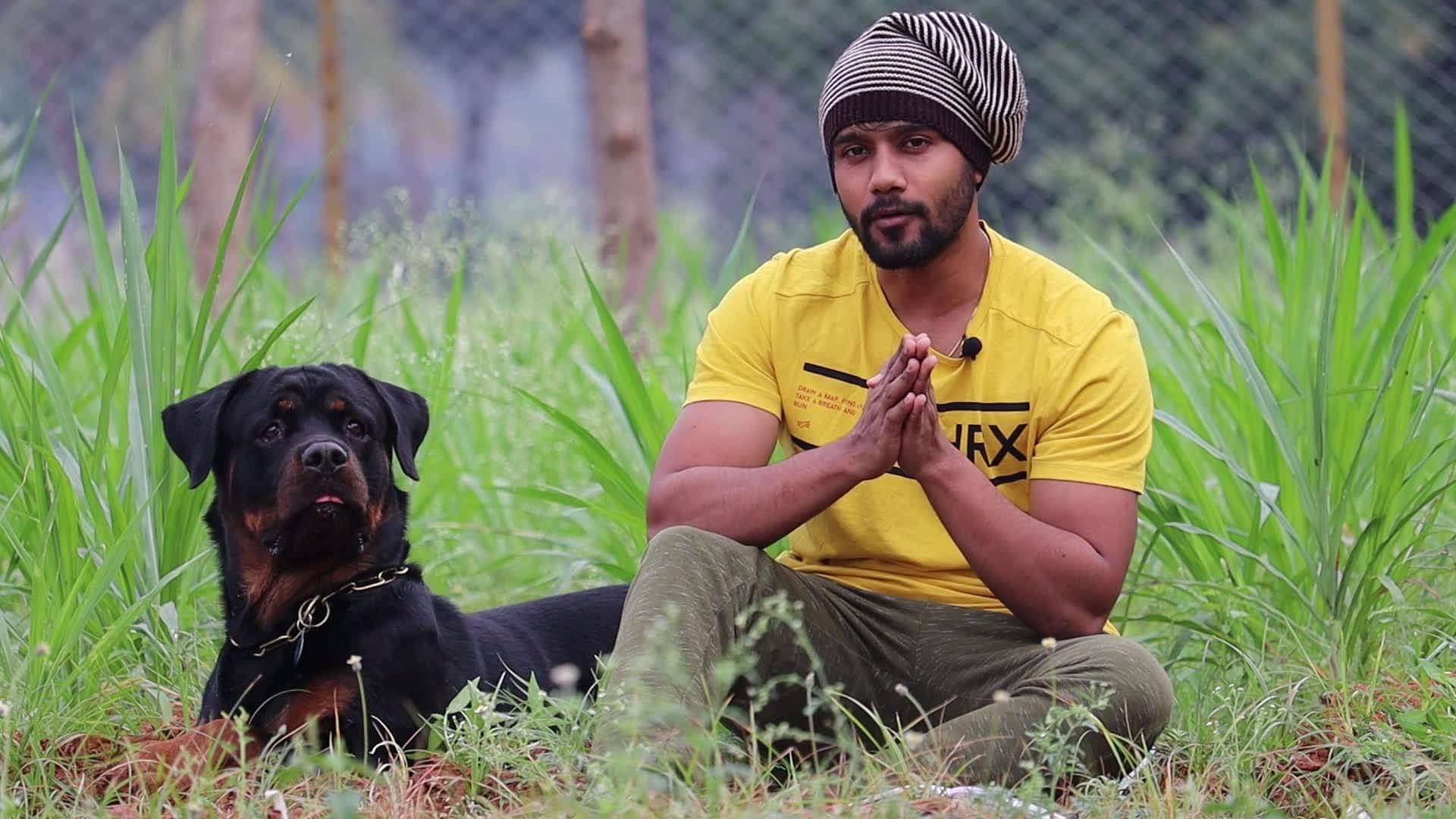 Chatty Rotty