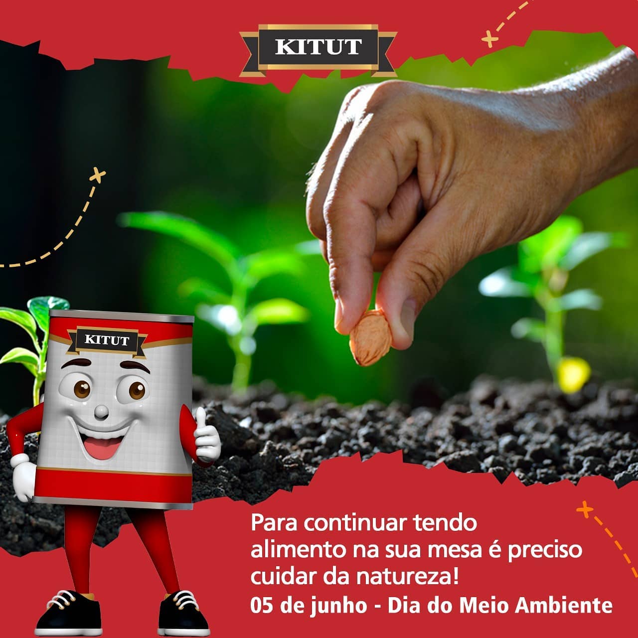 Kitut - Preservar o meio ambiente é um dever de todos!...