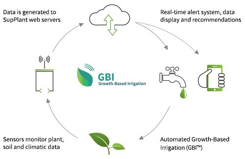 What is Growth Based Irrigation? - Goldtec Control Systems | Facebook