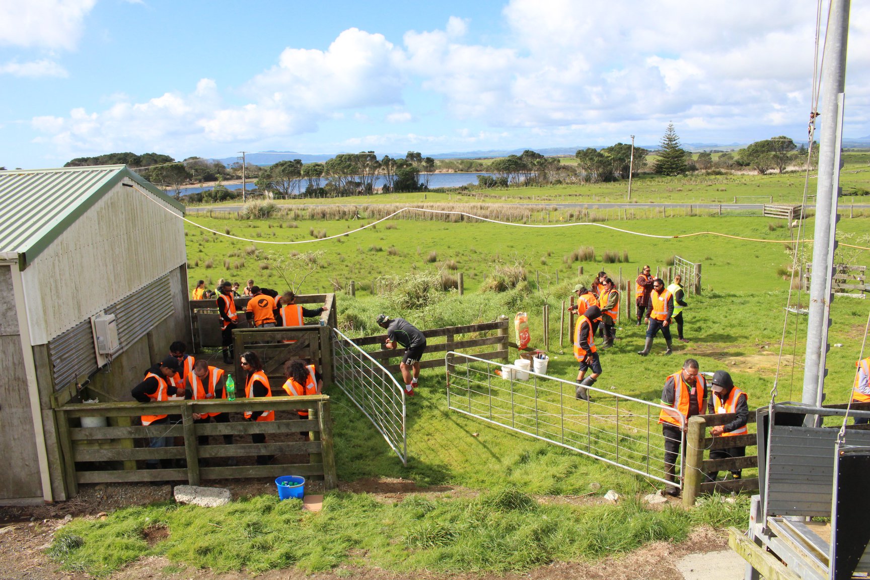 Northland Regional Council - Pamu's Rangiputa Station yards provide a ...