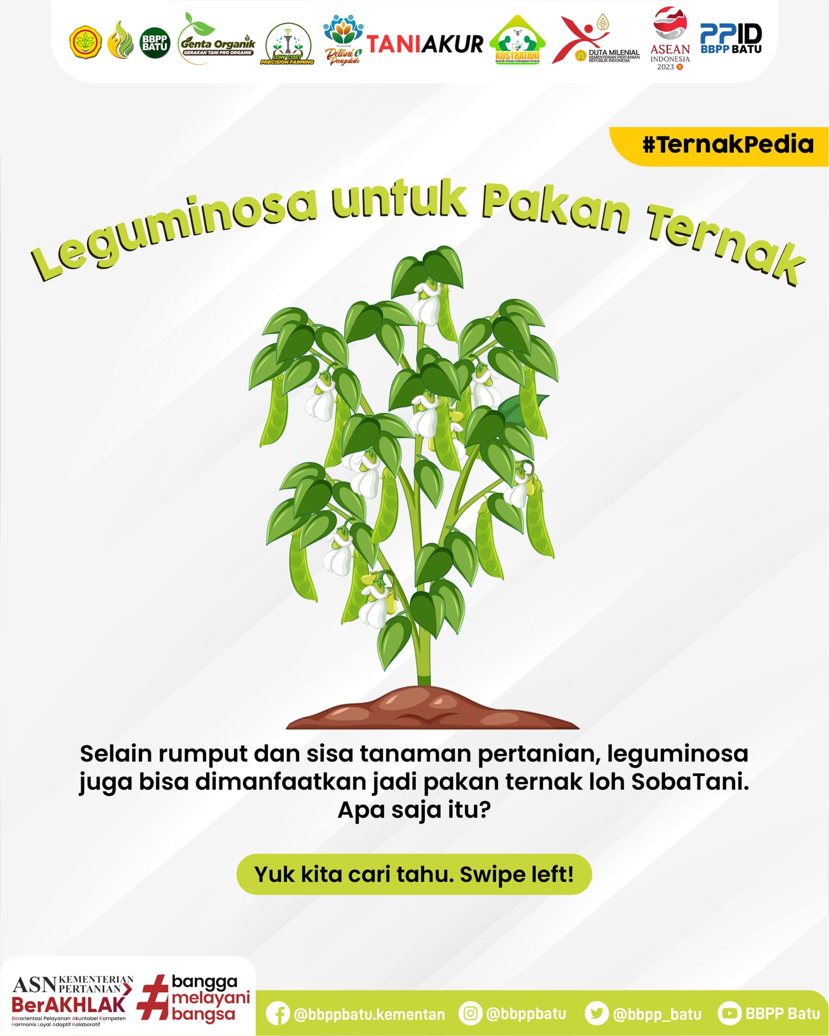 Humas Bbppbatu - Hai #SobaTani! Selain rumput dan sisa...