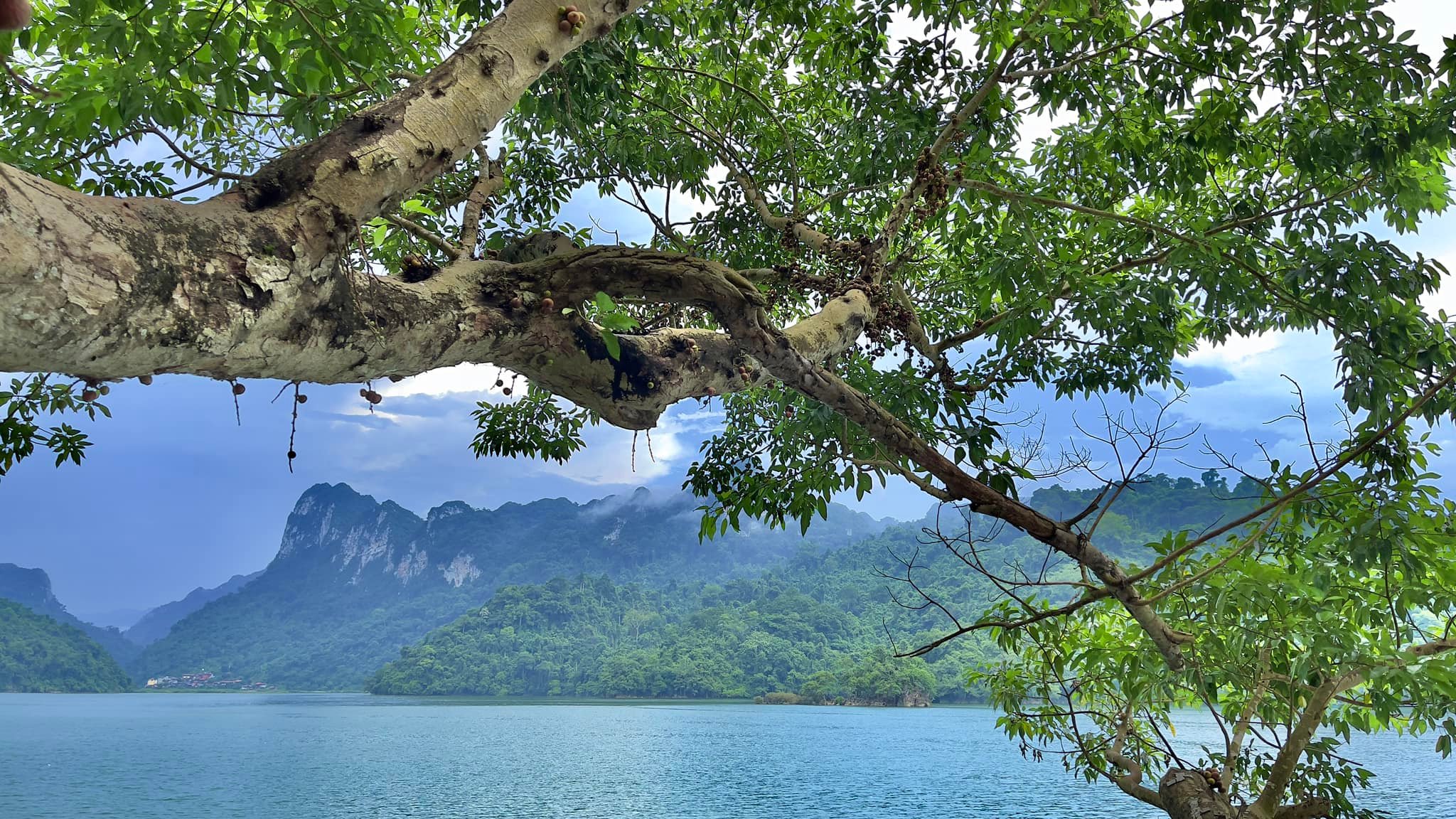 Ba Be lake, the largest fresh water lake in Vietnam 🍃🌿