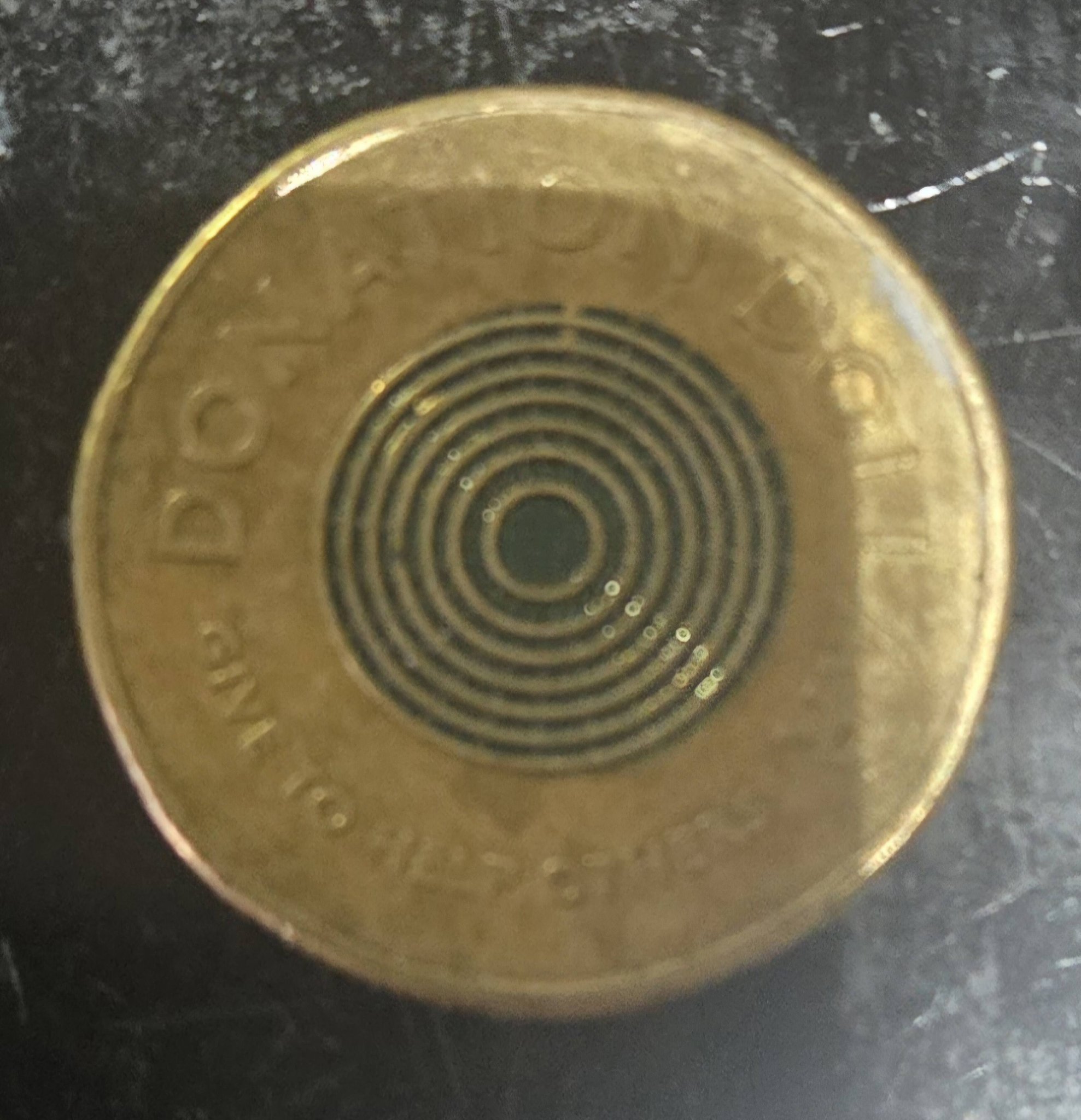 Found this 2020 $1 Donation Coin with JC on it. Are the rare ?