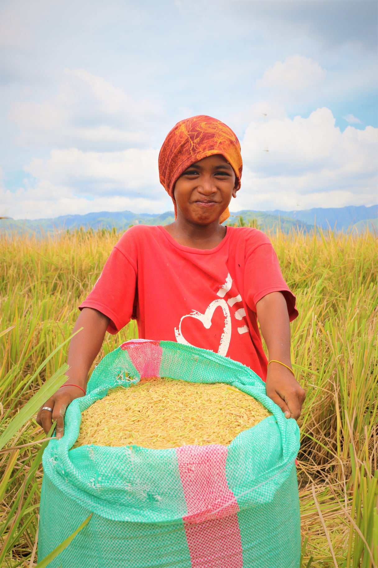 Agri Info Davao - Rice farmers in the Municipality of... | Facebook