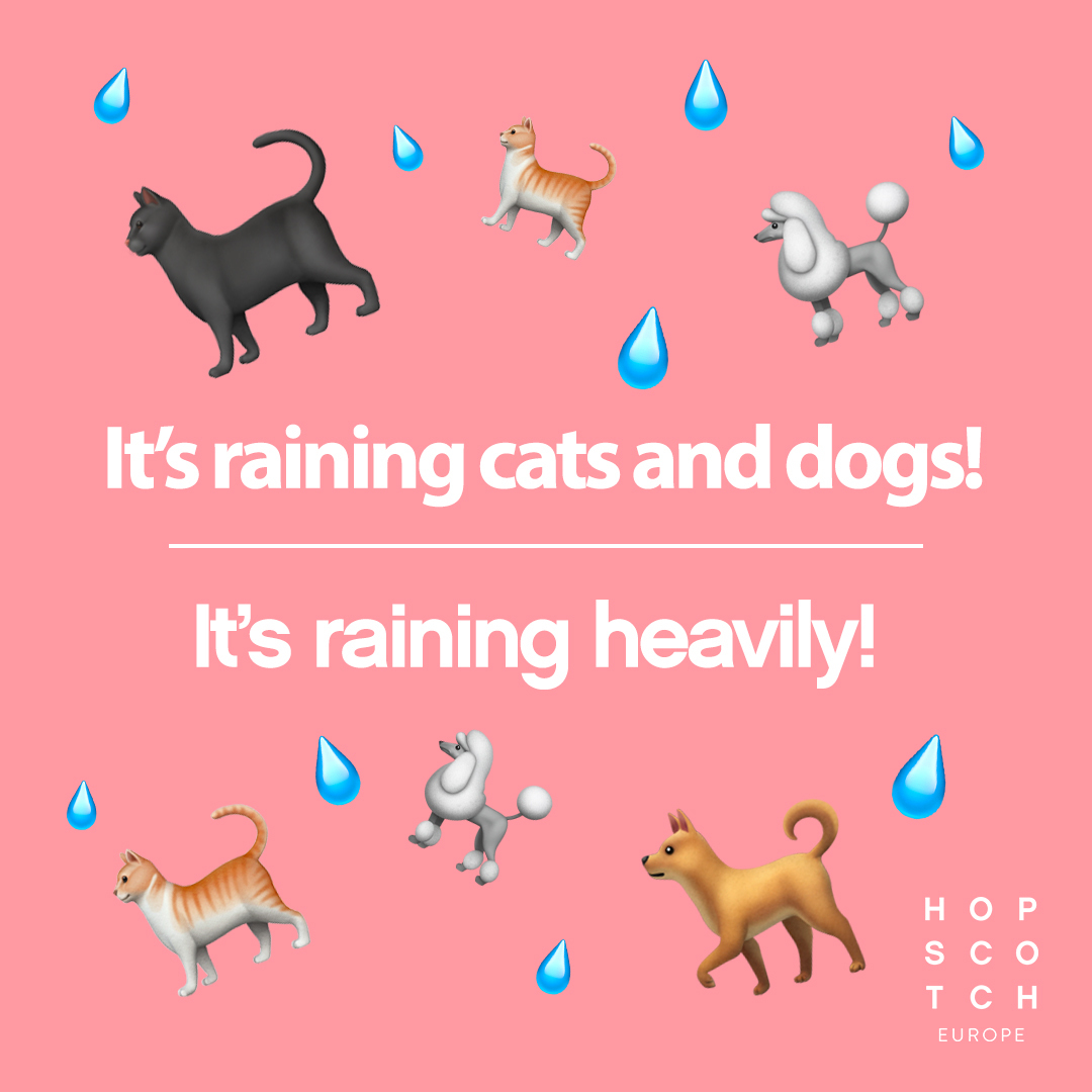 Hopscotch Europe What We Say You Ve Probably Already Heard Of The Popular Phrase It S Raining Cats And Dogs But Do You Know Why We Use This Idiom Actually Nobody Knows For