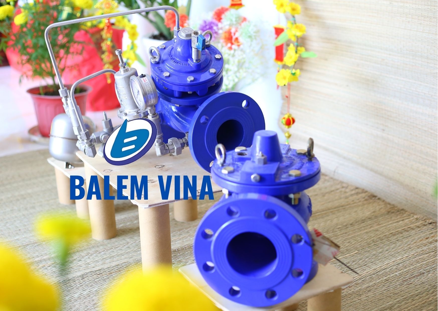 Van Balem