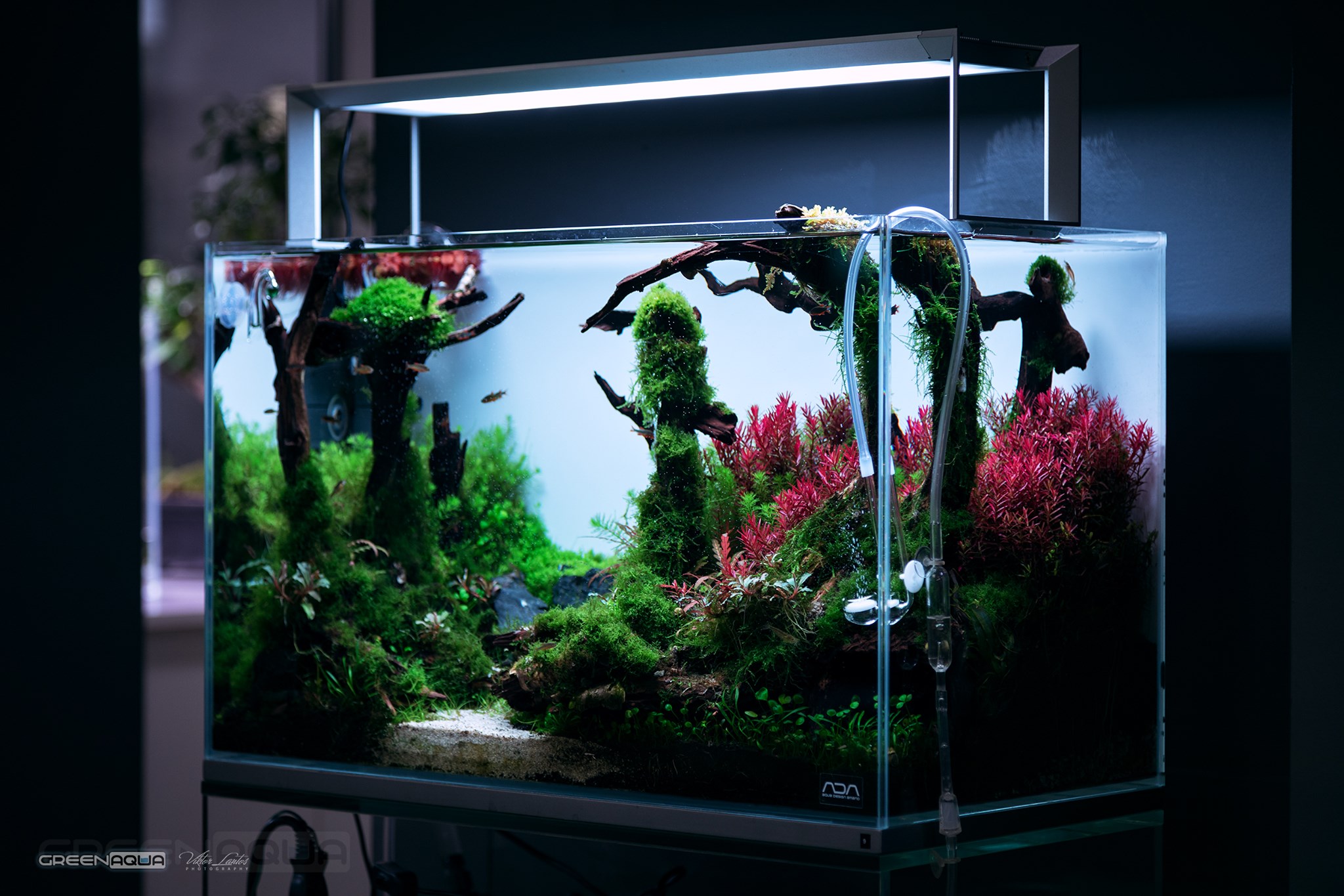 We've fitted one of the new ADA Aquasky RGB (Silver) to our