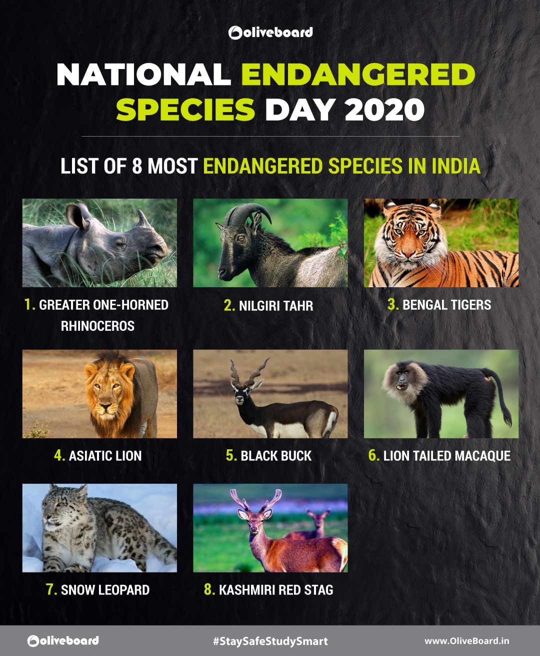 Endangered Species List With Names