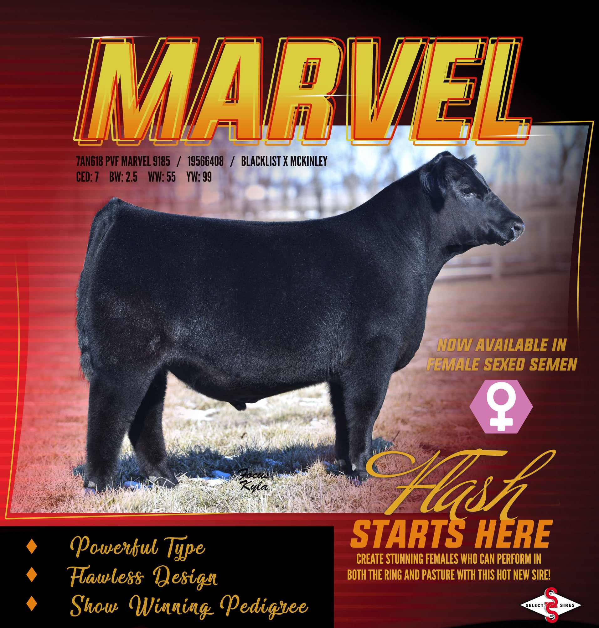 “𝘔𝘢𝘳𝘷𝘦𝘭 𝘤𝘰𝘮𝘣𝘪𝘯𝘦𝘴 𝘢 𝘱𝘦𝘥𝘪𝘨𝘳𝘦𝘦 𝘴𝘵𝘢𝘤𝘬𝘦𝘥... - Select Sires Beef | Facebook