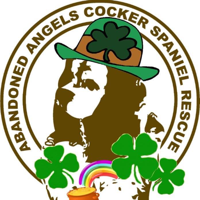 Abandoned Angels Cocker Spaniel Rescue, Inc. - URGENT LOCAL FOSTER HOME ...