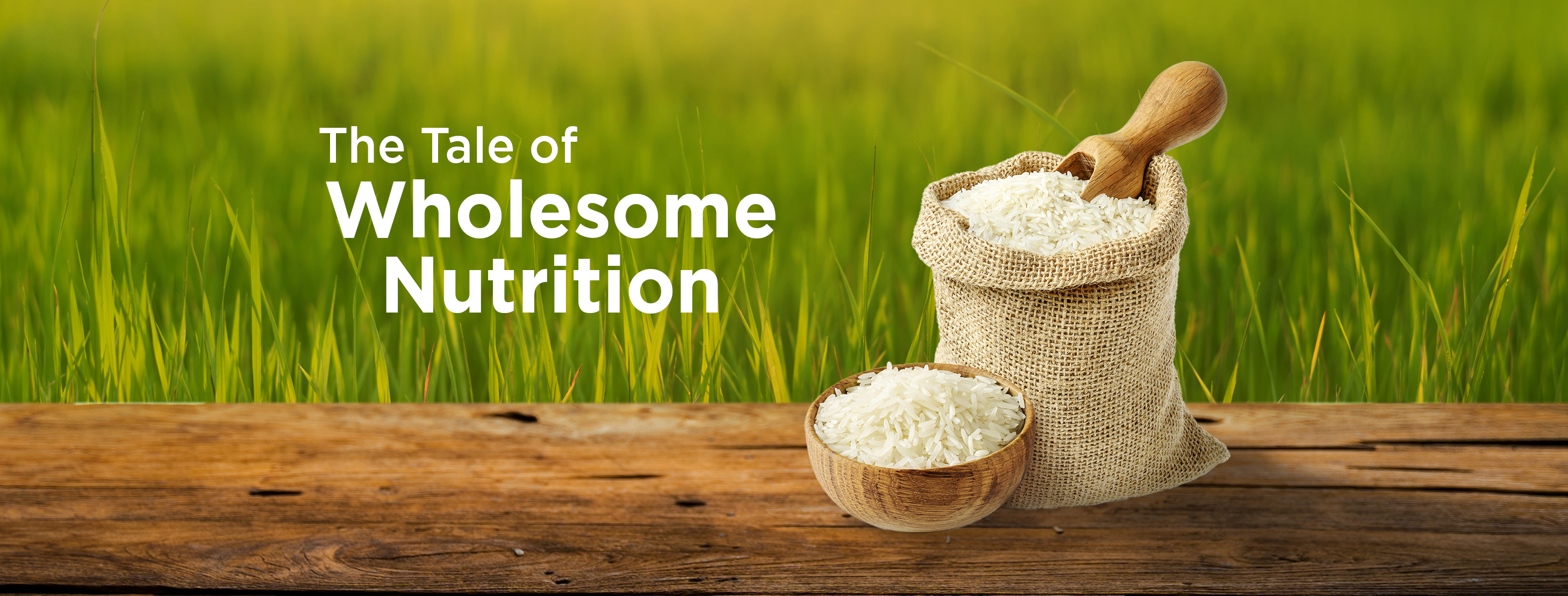 Excellence India Rice Mill