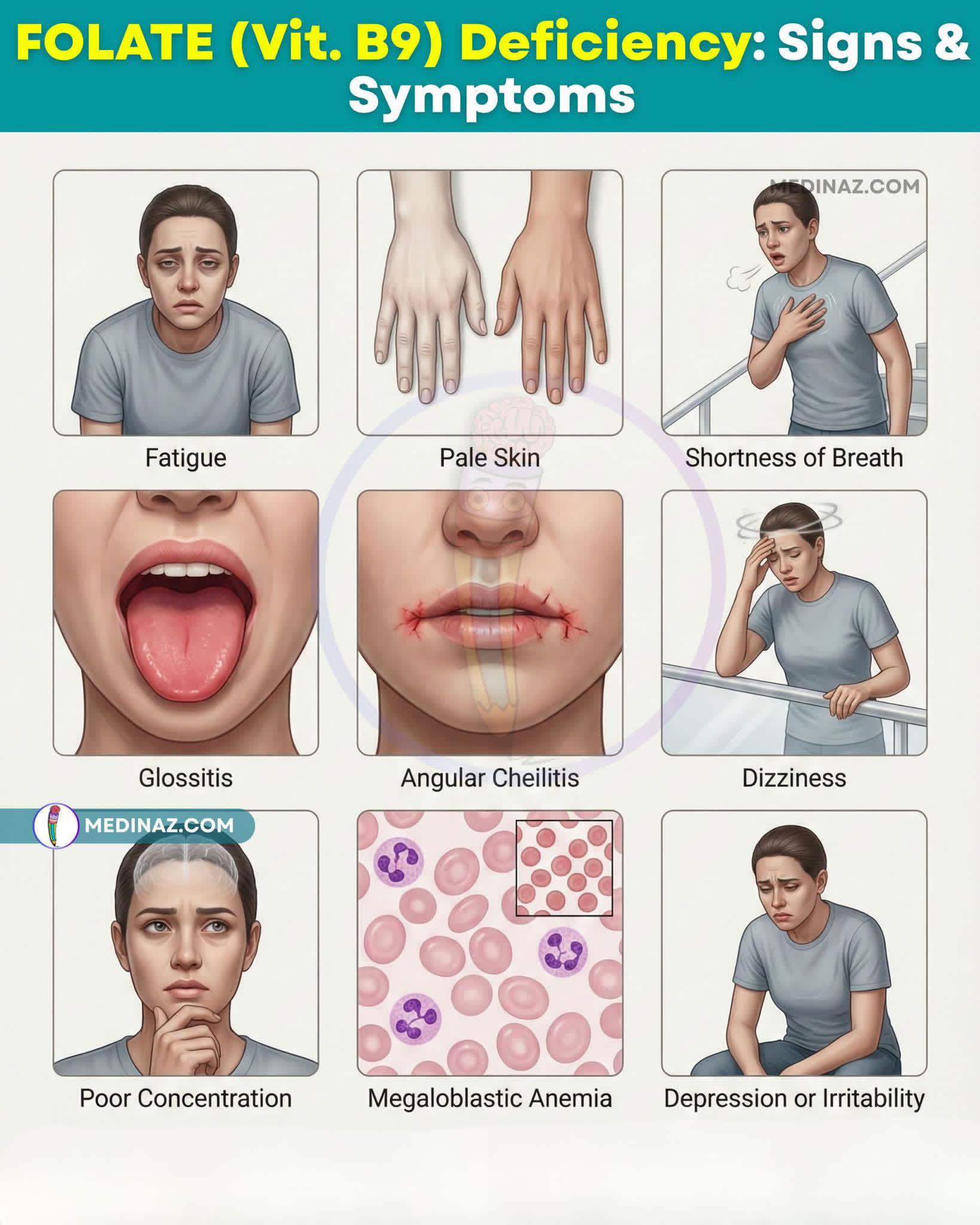 🟣 Дефіцит фолату або фолієвої кислоти... - Тарас Жиравецький | Facebook