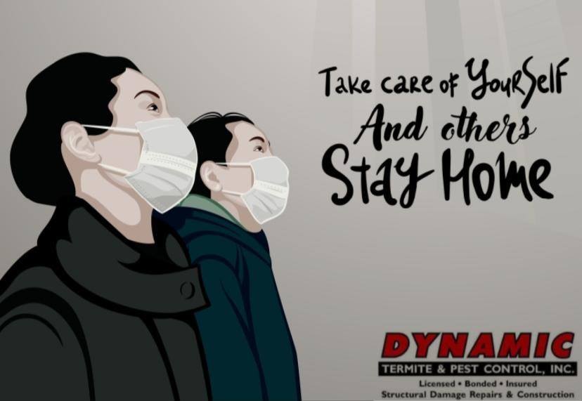 Dynamic Termite and Pest Control, Inc | Caguas