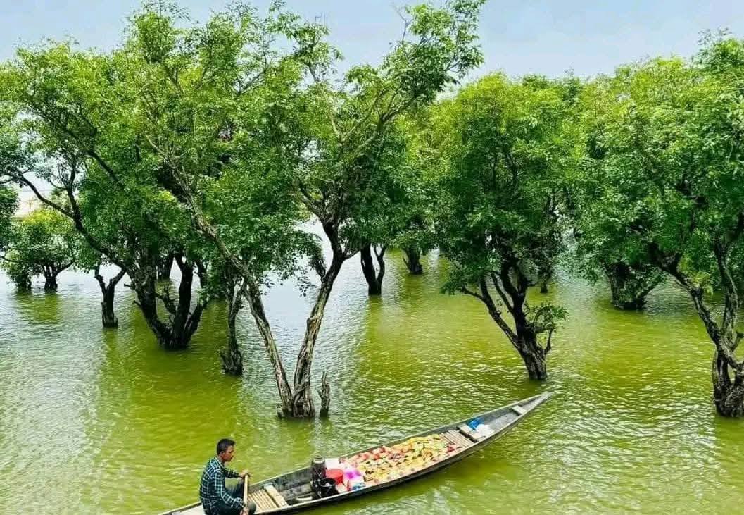 Md Riaz Uddin Raju