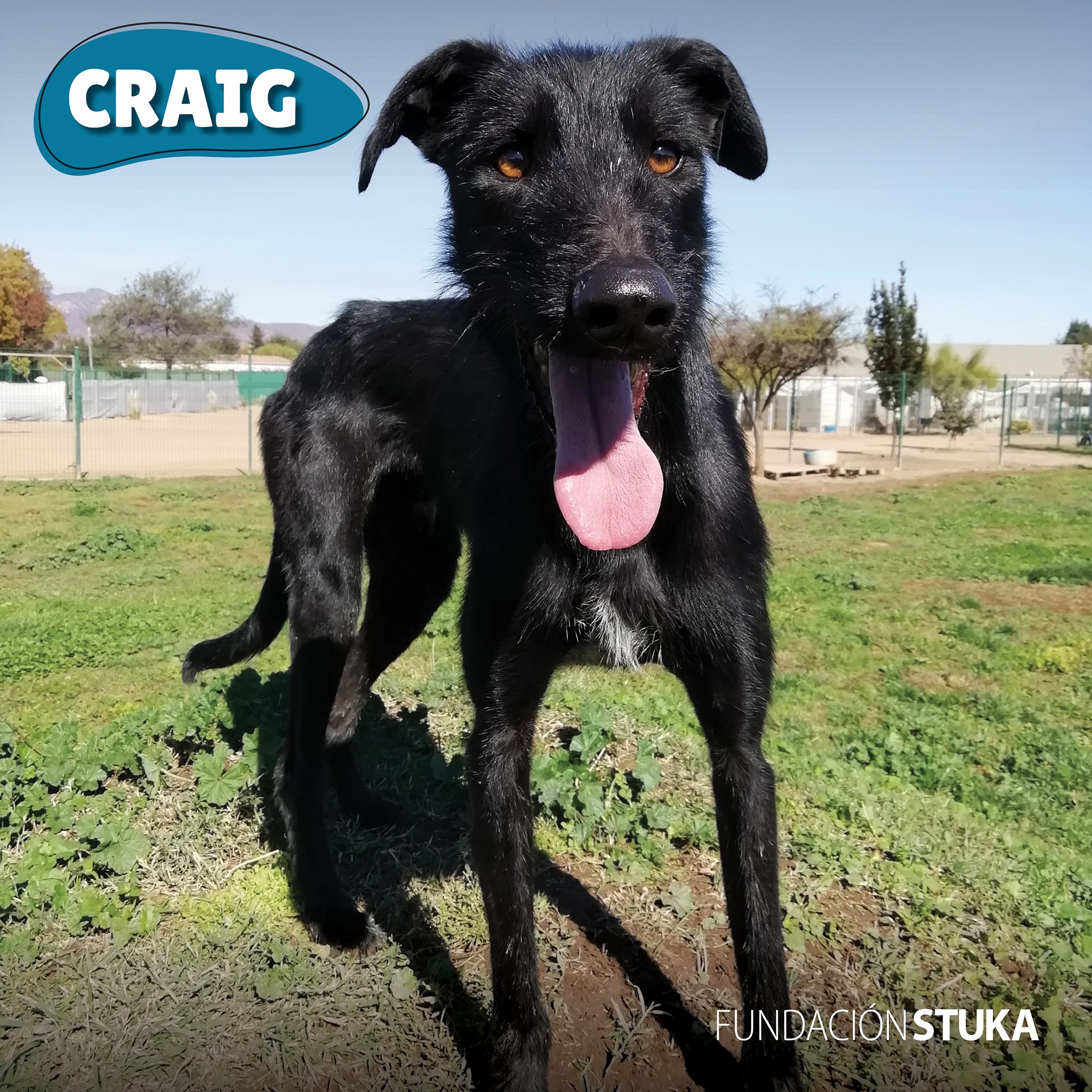 Fundación Stuka - Craig ama ser la sombra de los que... | Facebook