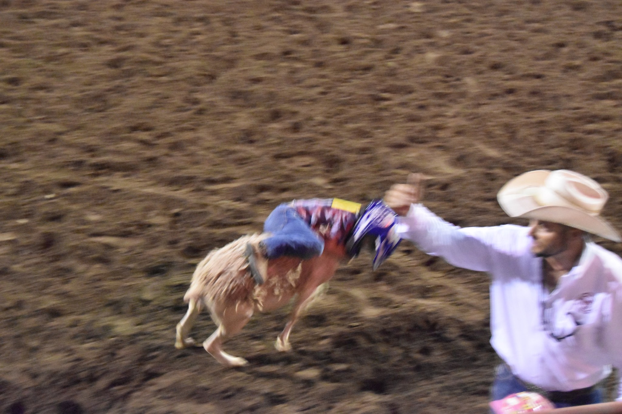 Carson Community Rodeo