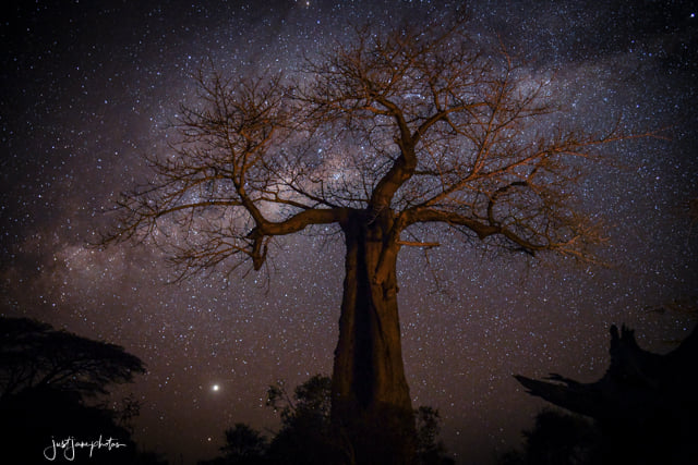 The night sky in the Kafue National... - Mapunga Bush Camp | Facebook