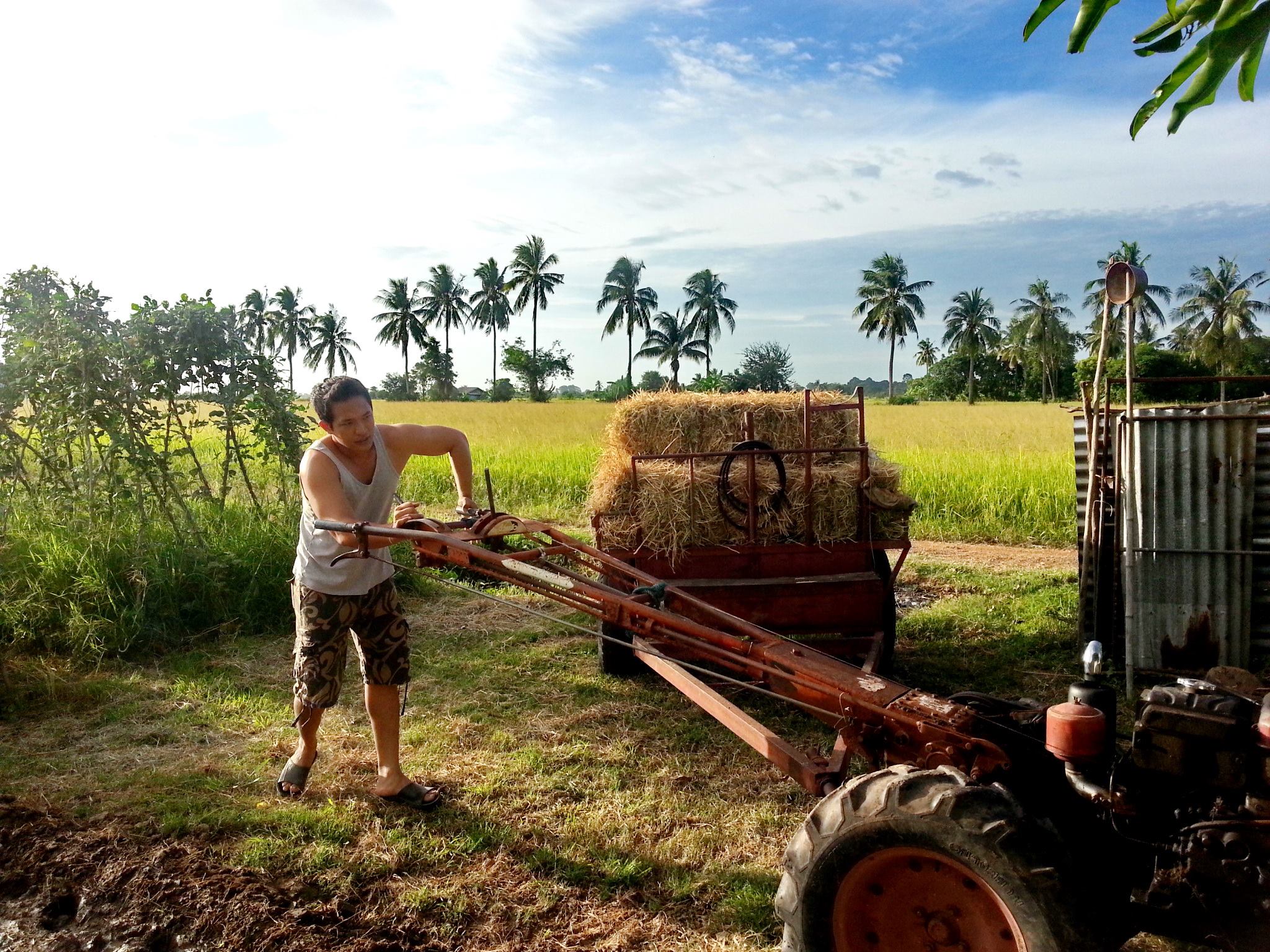 กลุ่มผู้ผลิตข้าวปลอดสารพิษ ชาวนารุ่นใหม่ Organic rice Manager | Hankha