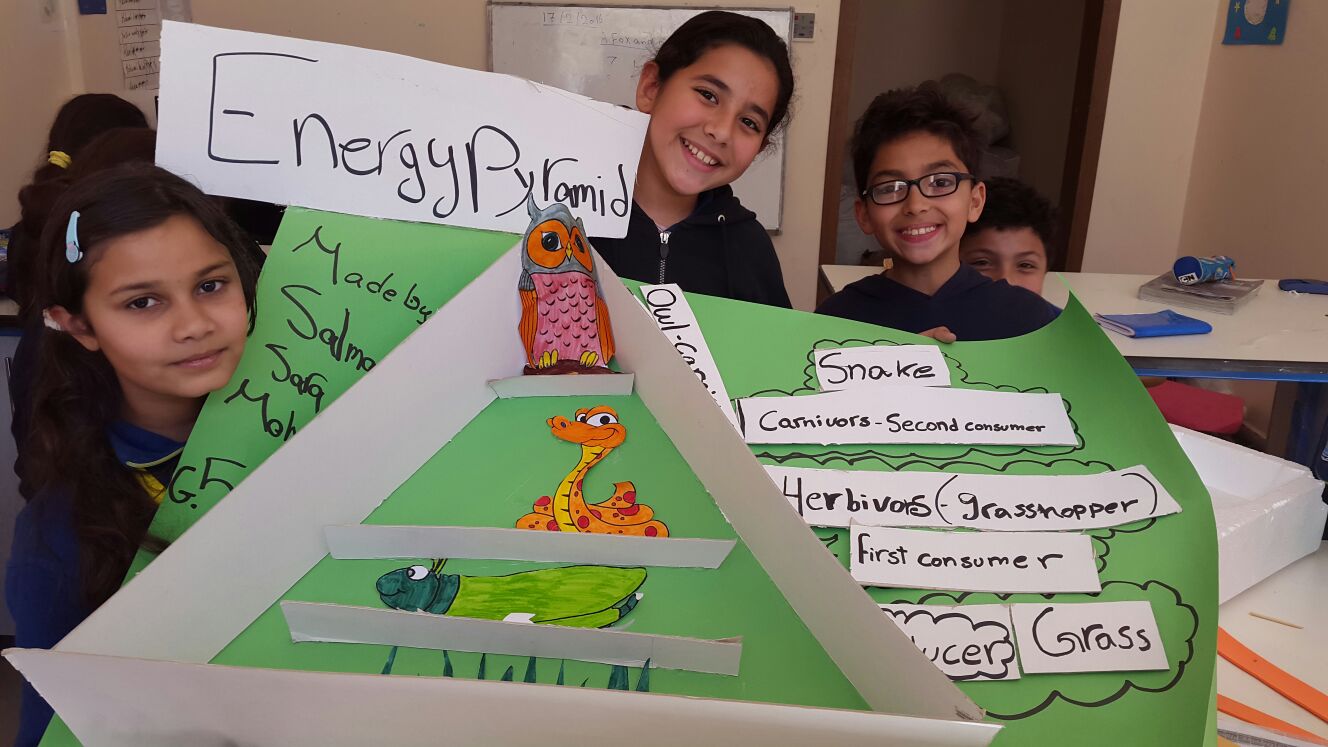 Grade 5- energy pyramid model team... - Wicks Of Knowledge | Facebook