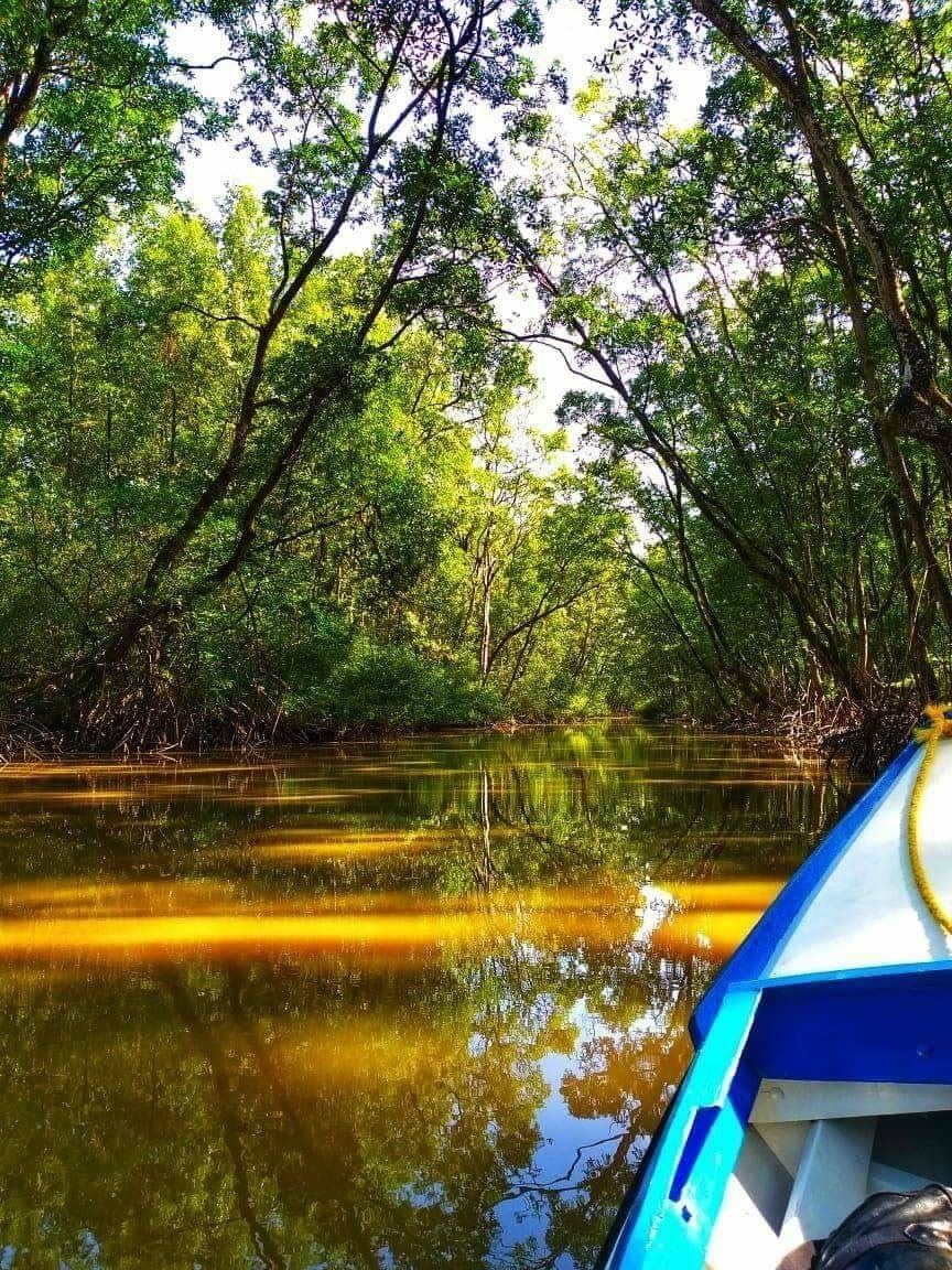 Visit Guyana - Moruca river, very scenic and...
