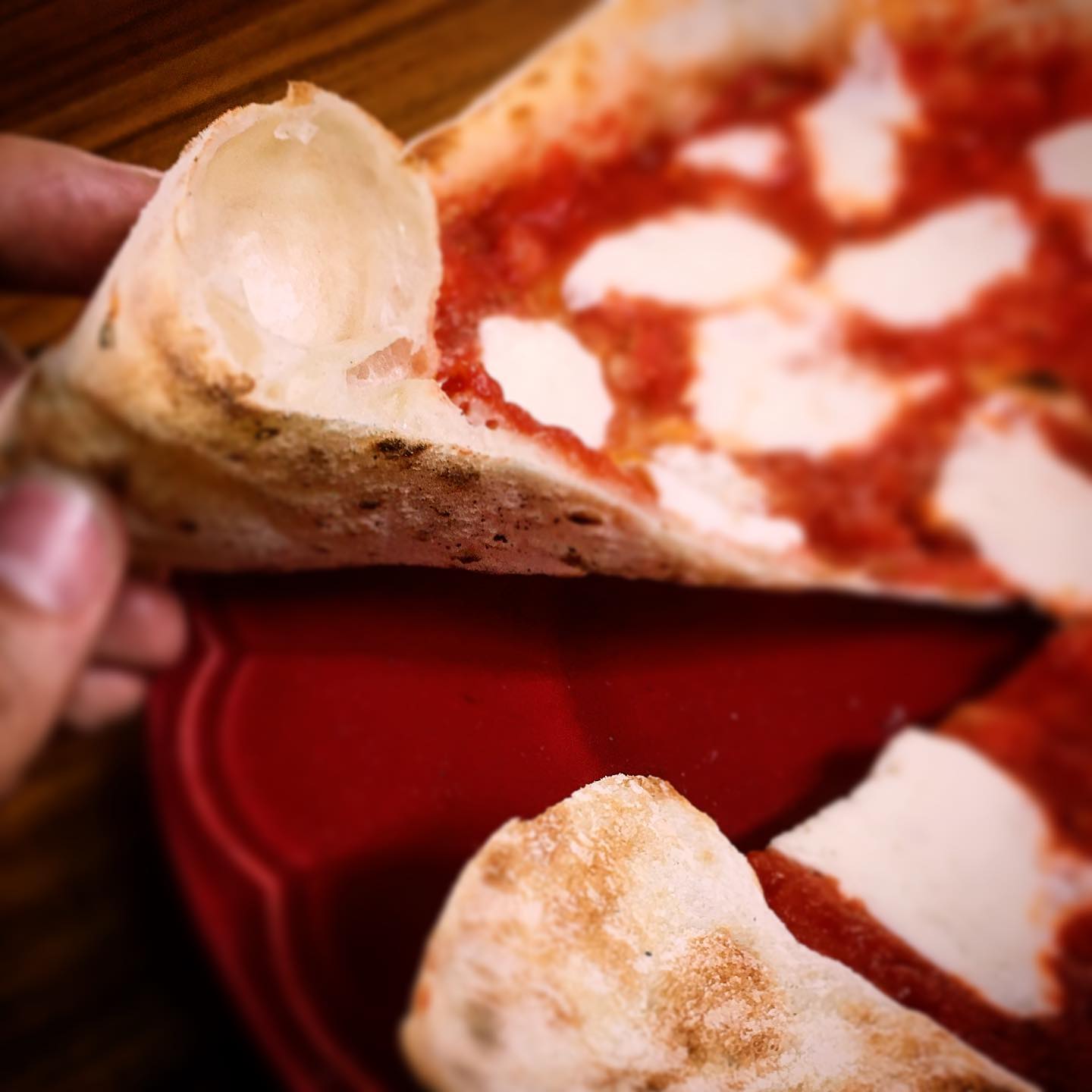 Índigo - La mejor pizza parte de la mejor masa. Trajimos los mejores ...