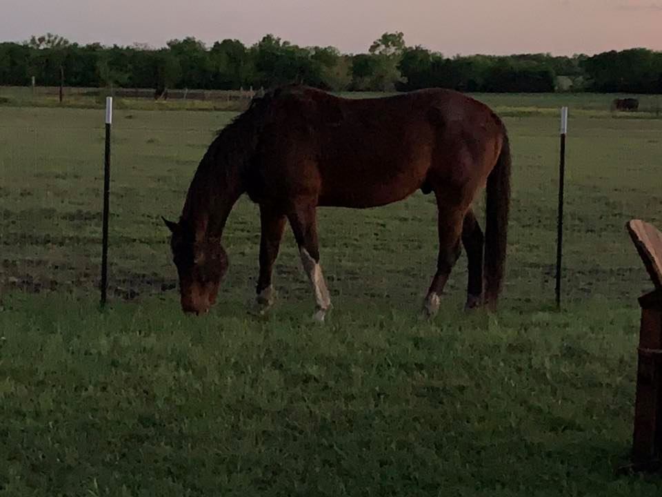 Cross Timbers Ranch