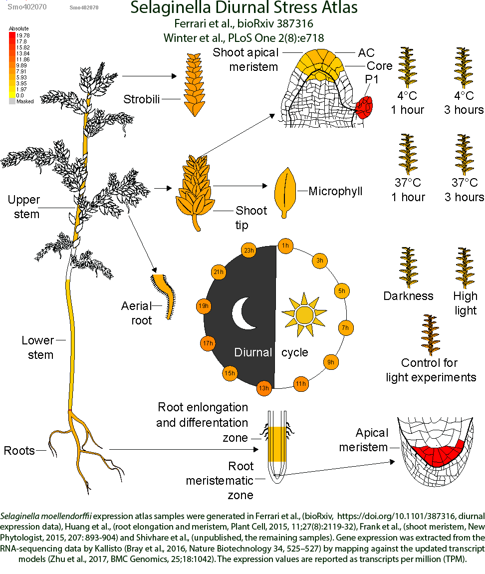 Bio-Analytic Resource - Marek Mutwil and colleagues' paper describing ...
