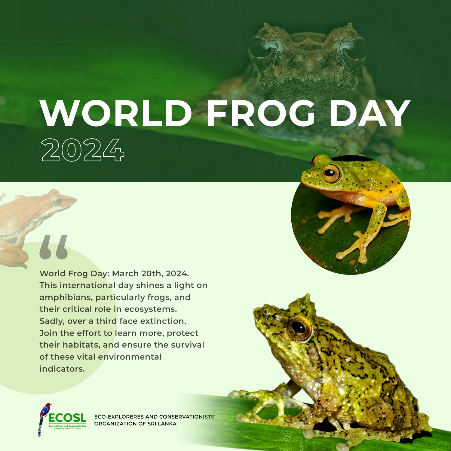 Eco-explores & Conservationists' Organization of Sri Lanka