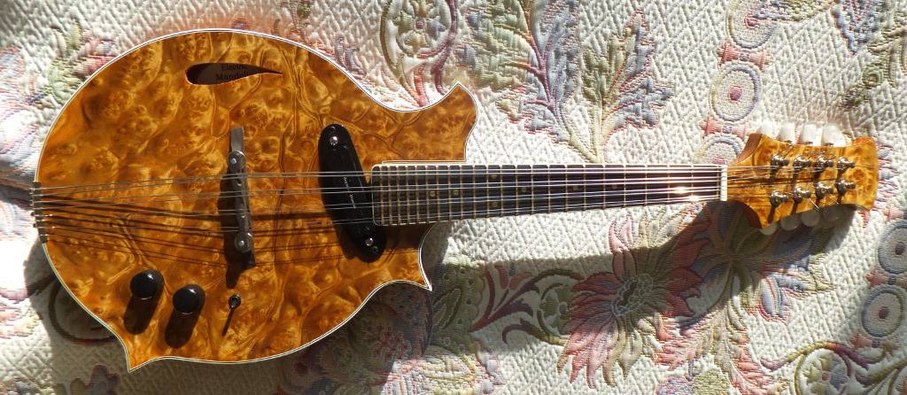 New electric 8 string mandolin: - John Maddock Instruments