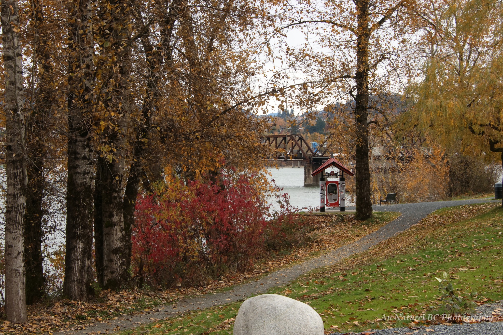 Au Naturel BC Photography | A quiet autumn scene in Matsqui trail along ...