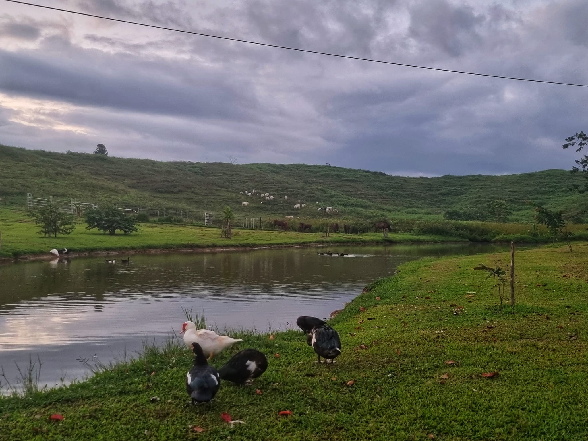 Koitaki Country Club | Port Moresby