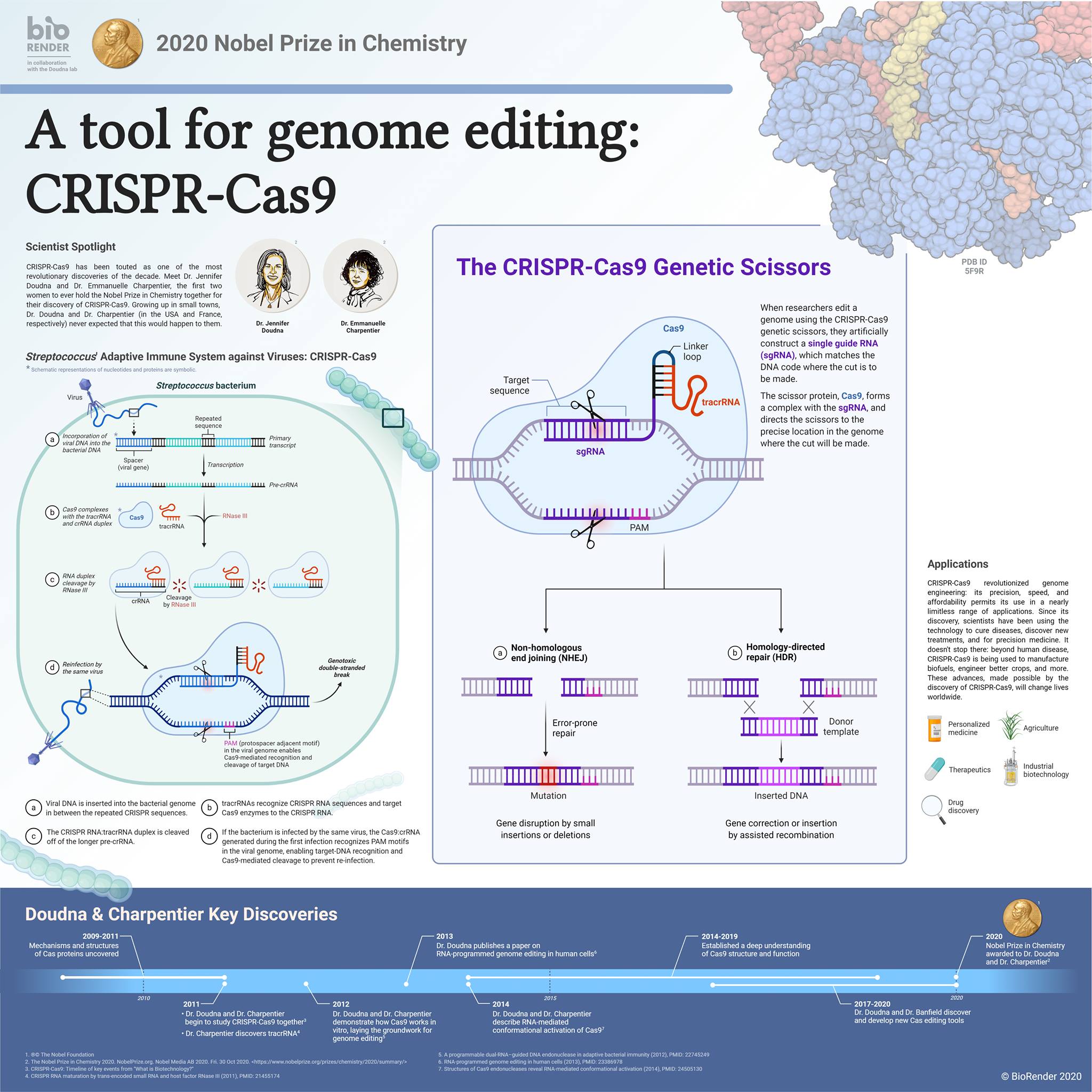 Microbe Notes - CRISPR-Cas9 is a tool for genome editing... | Facebook