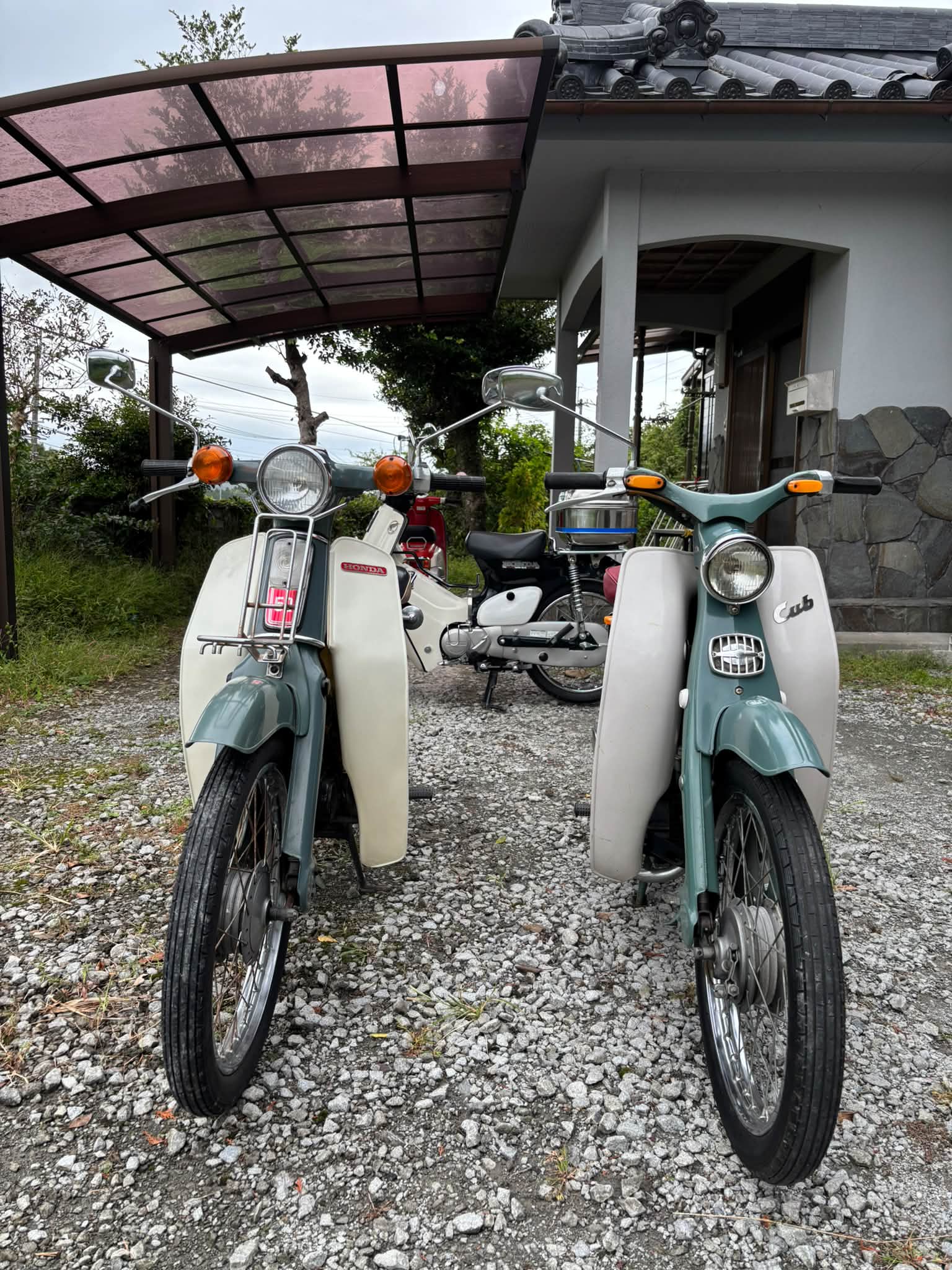 この2か月で2台増車になりました 2台ともチャンスがないと手に入ら