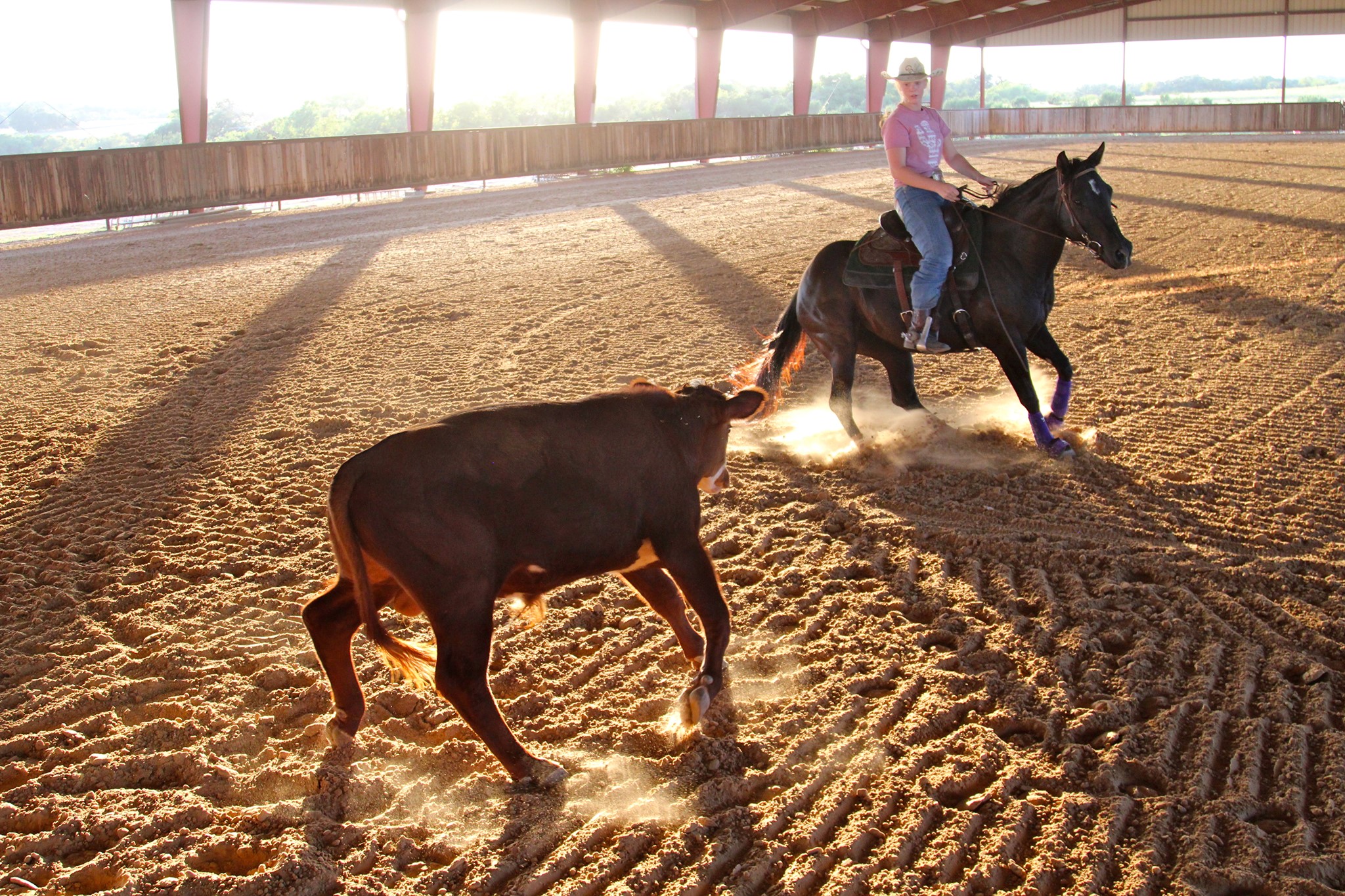 Rockin Ranch Riding Series