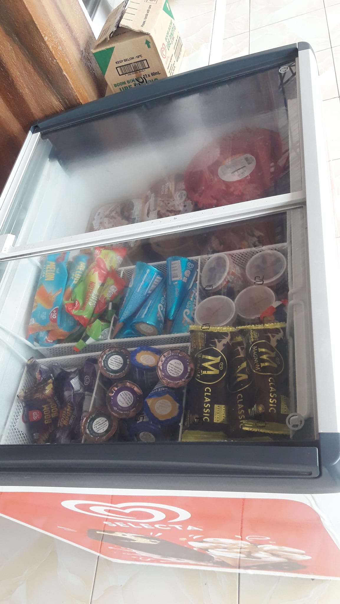 Selecta Ice Cream in different... - Cugon Bamboo Resort