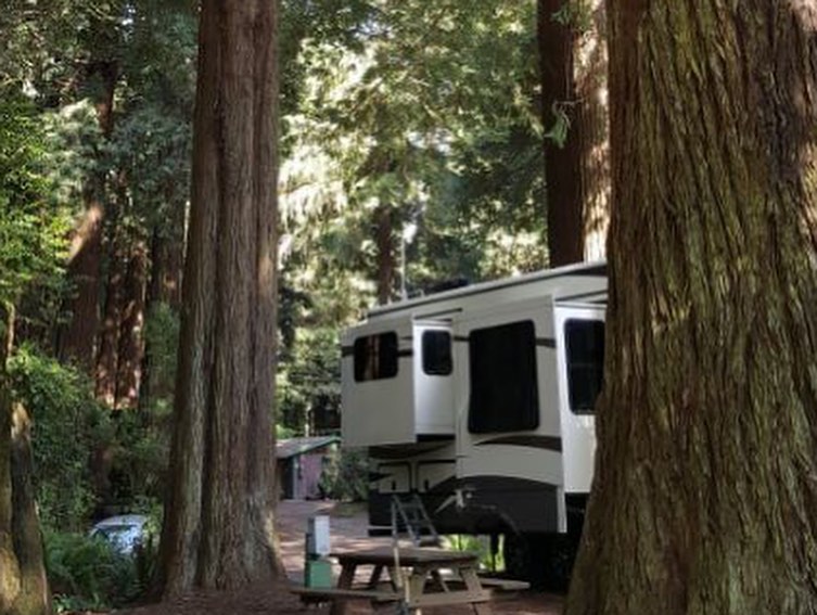 BoaVida RV Parks and Resorts