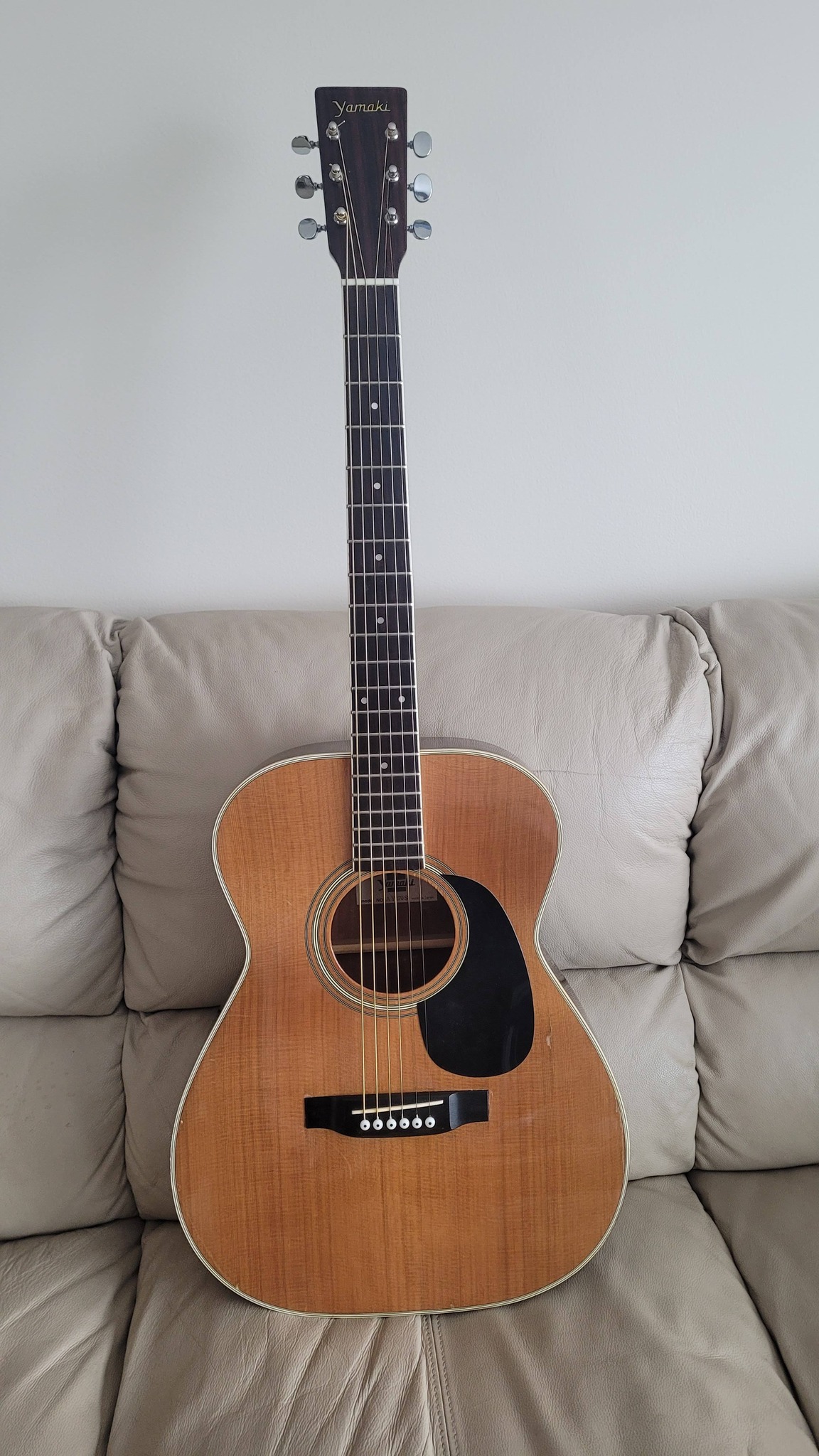 Yamaki Guitar Owners Group - YGOG