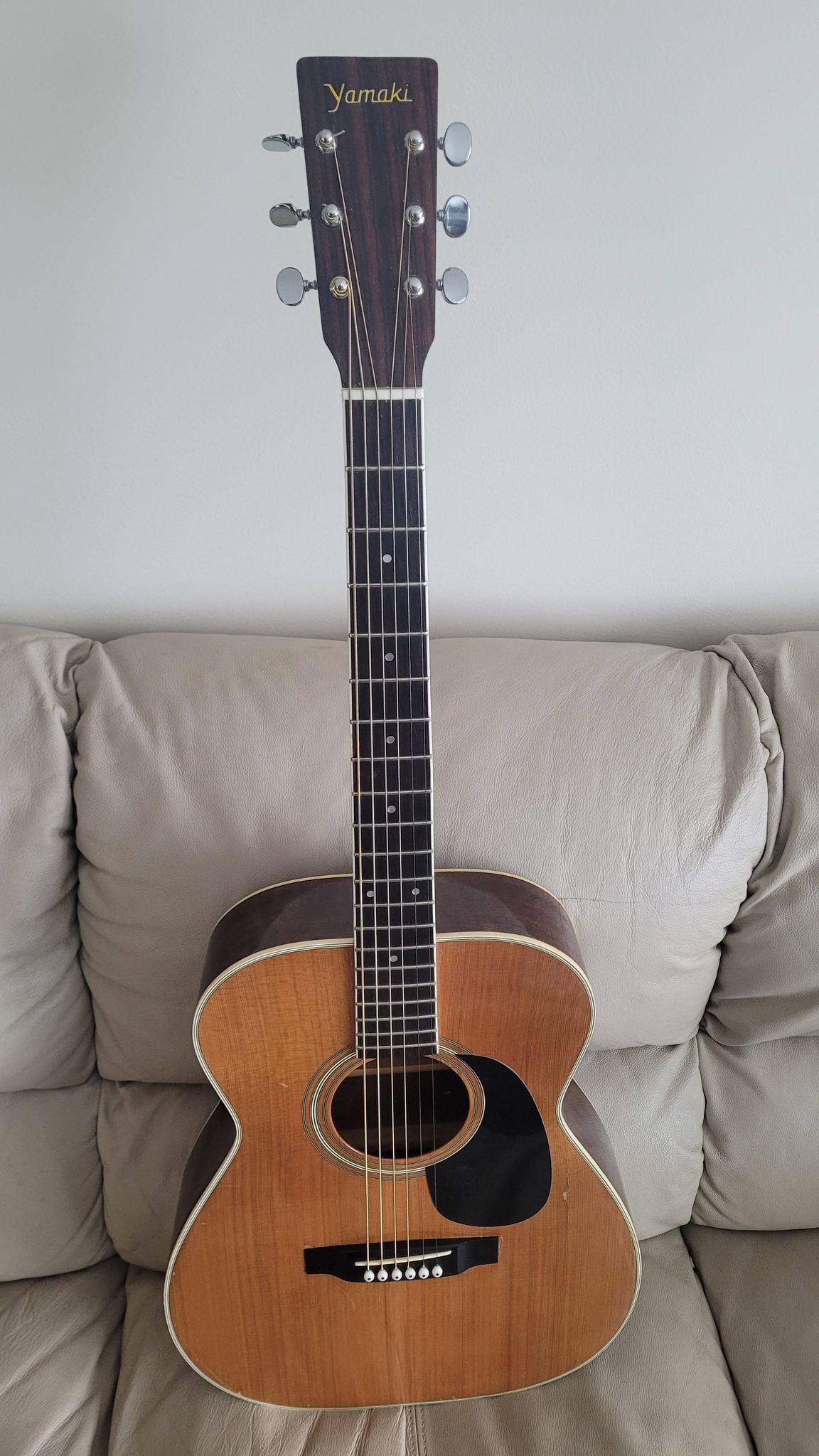 Yamaki Guitar Owners Group - YGOG