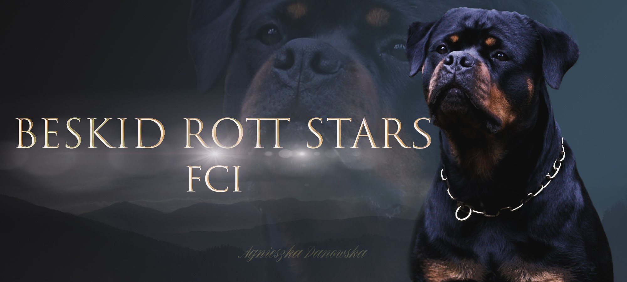Beskid Rott Stars FCI Rottweiler & Boston Terrier Kennel