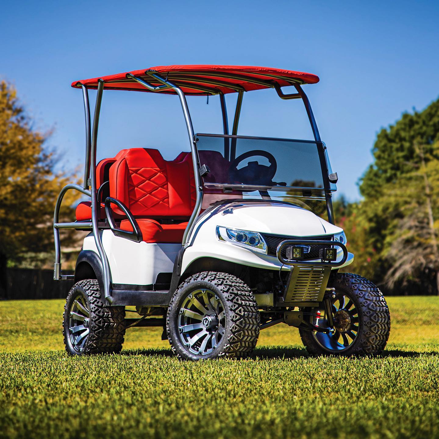 Golf Cart King - The 🔥 MODZ build featured on the cover of...