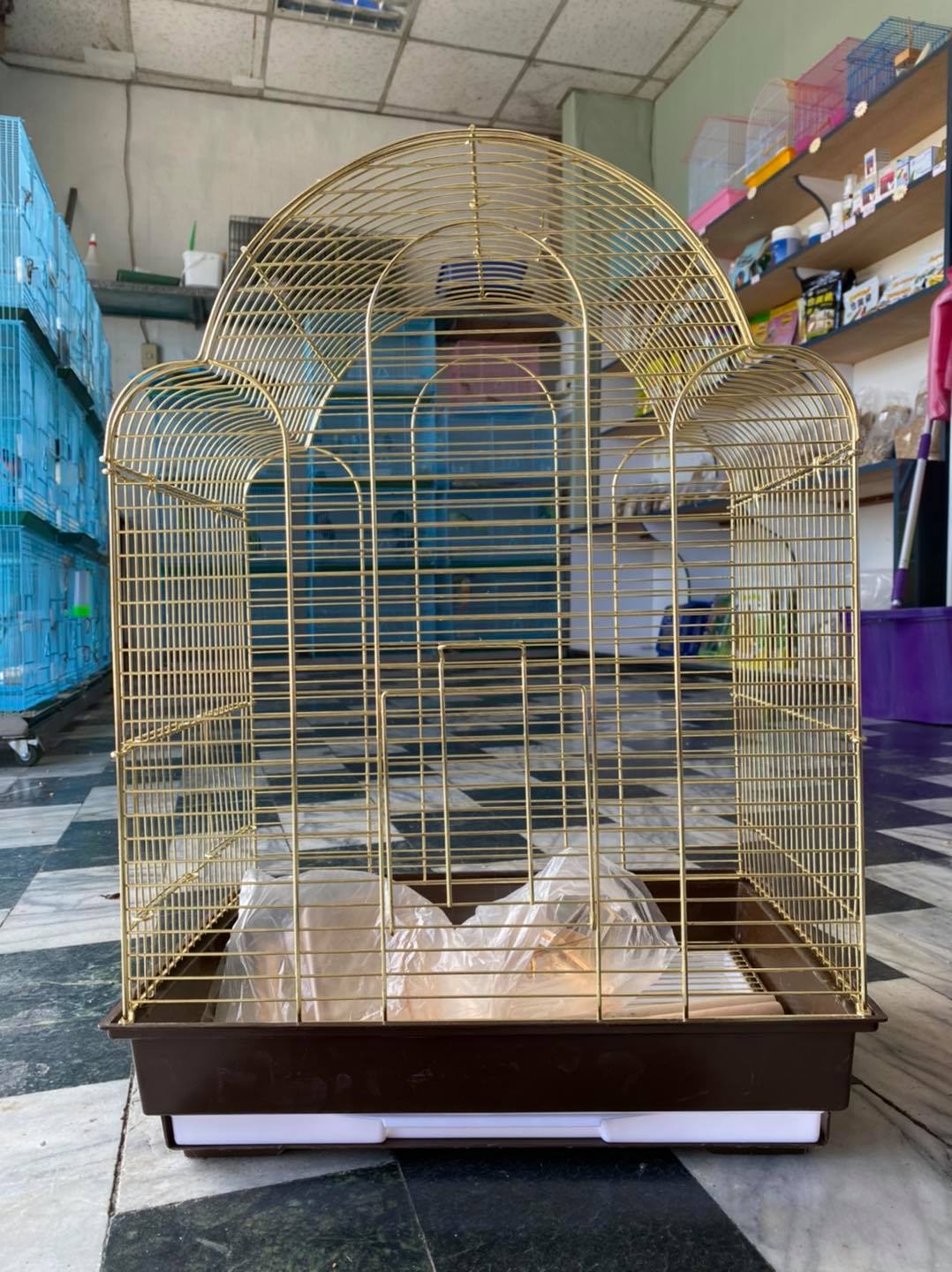 金鳥園 JinParrot - 新品到 帶著黃金般貴氣的籠子🥺🥺 配備兩根棍子 與兩個防潑灑飼料柸... | Facebook