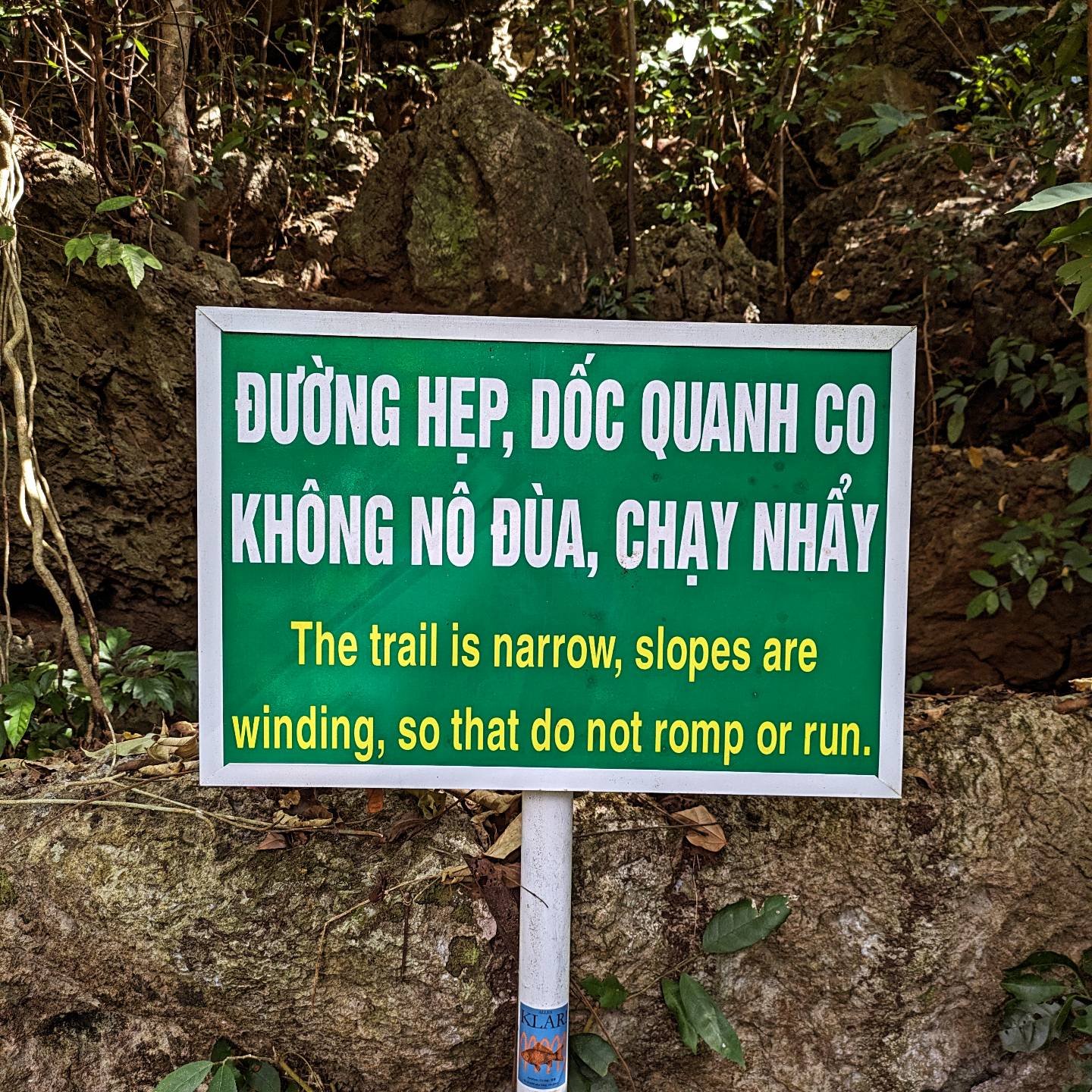 Learn Thai from a White Guy | Chiang Mai