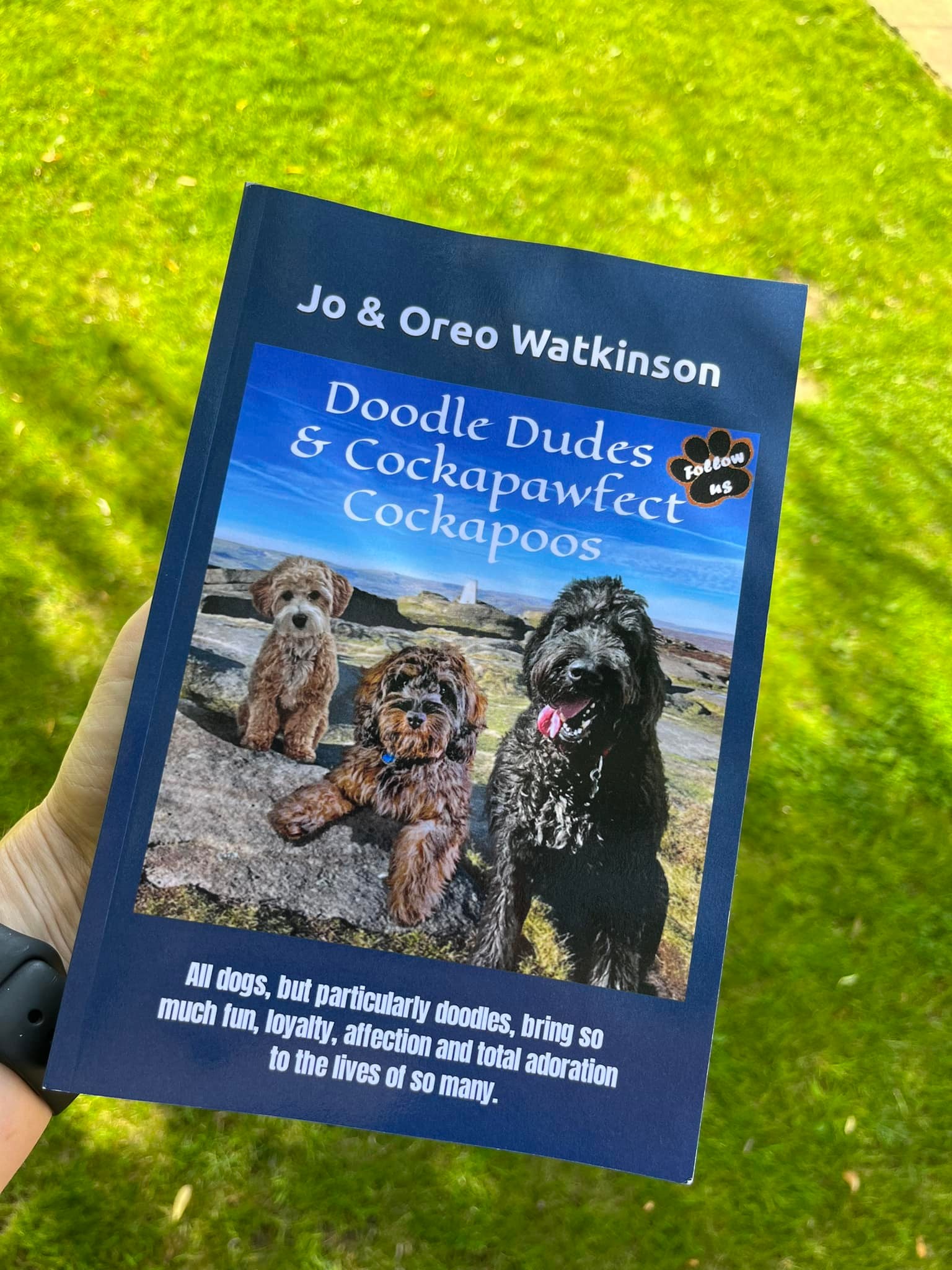 Cockapawfect Cockapoos