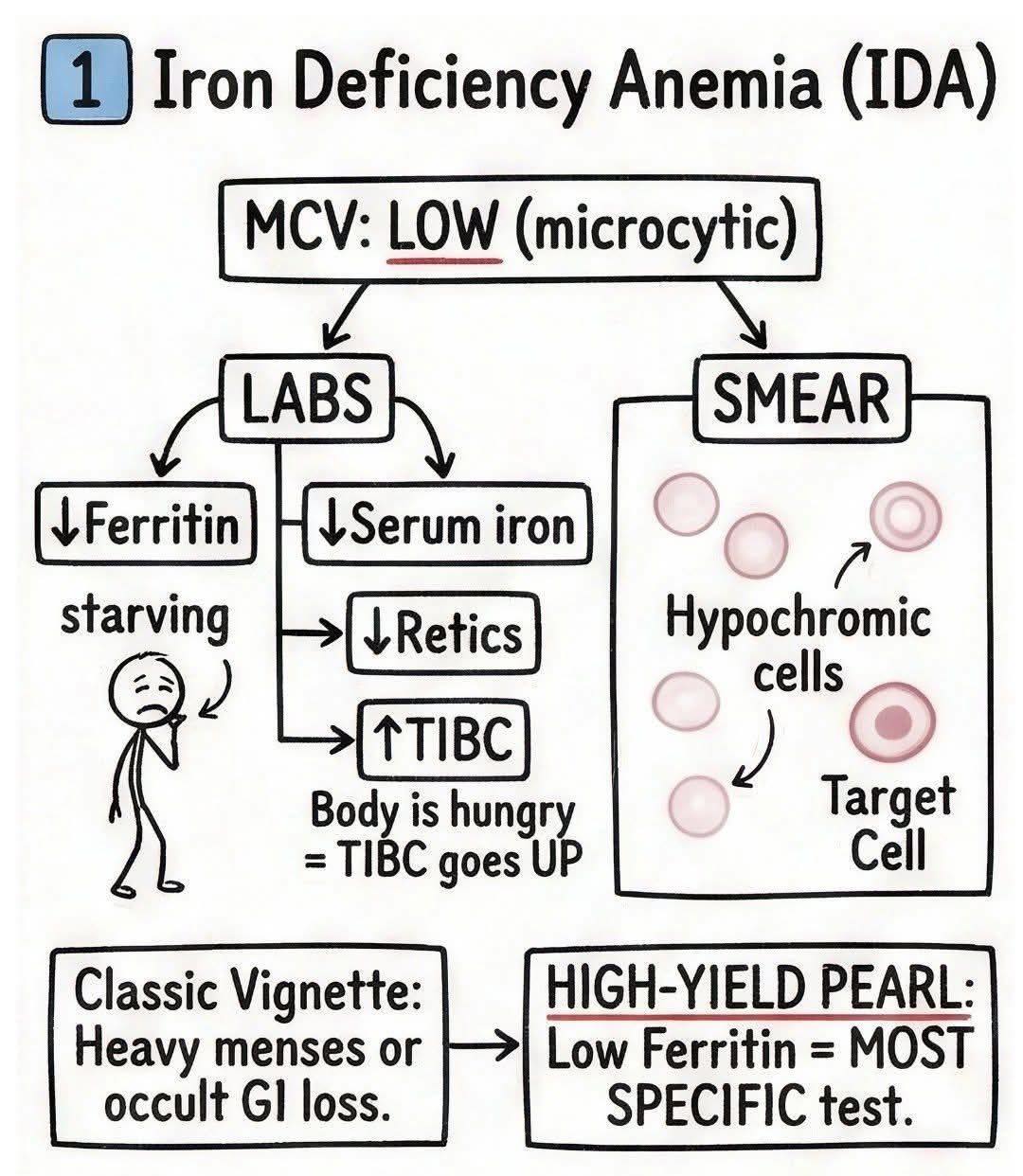 anemias due to disorders of glutathione metabolism Anemia https://medicallabscientist.org/iron-metabolism CELIMAX Derma Nature Glutathione كريم عين ماري اند ماي  كريم العين بحمض الترانيكساميك  كريم العين بالجلوتاثيون  مجموعة كريم العين من ماري آند ماي Potency:(No Potency)