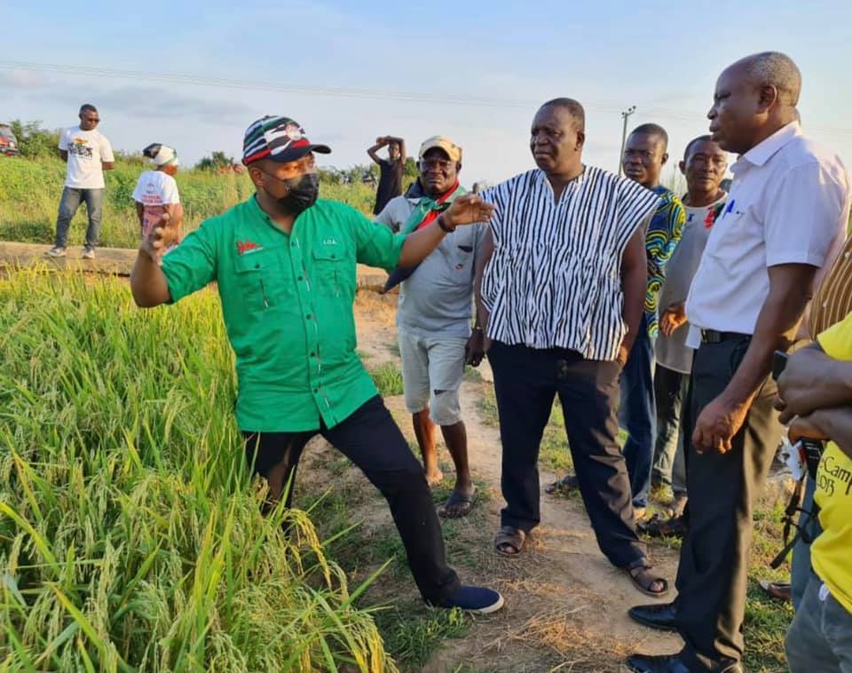 Delighted to promote our very... - Samuel Okudzeto Ablakwa | Facebook
